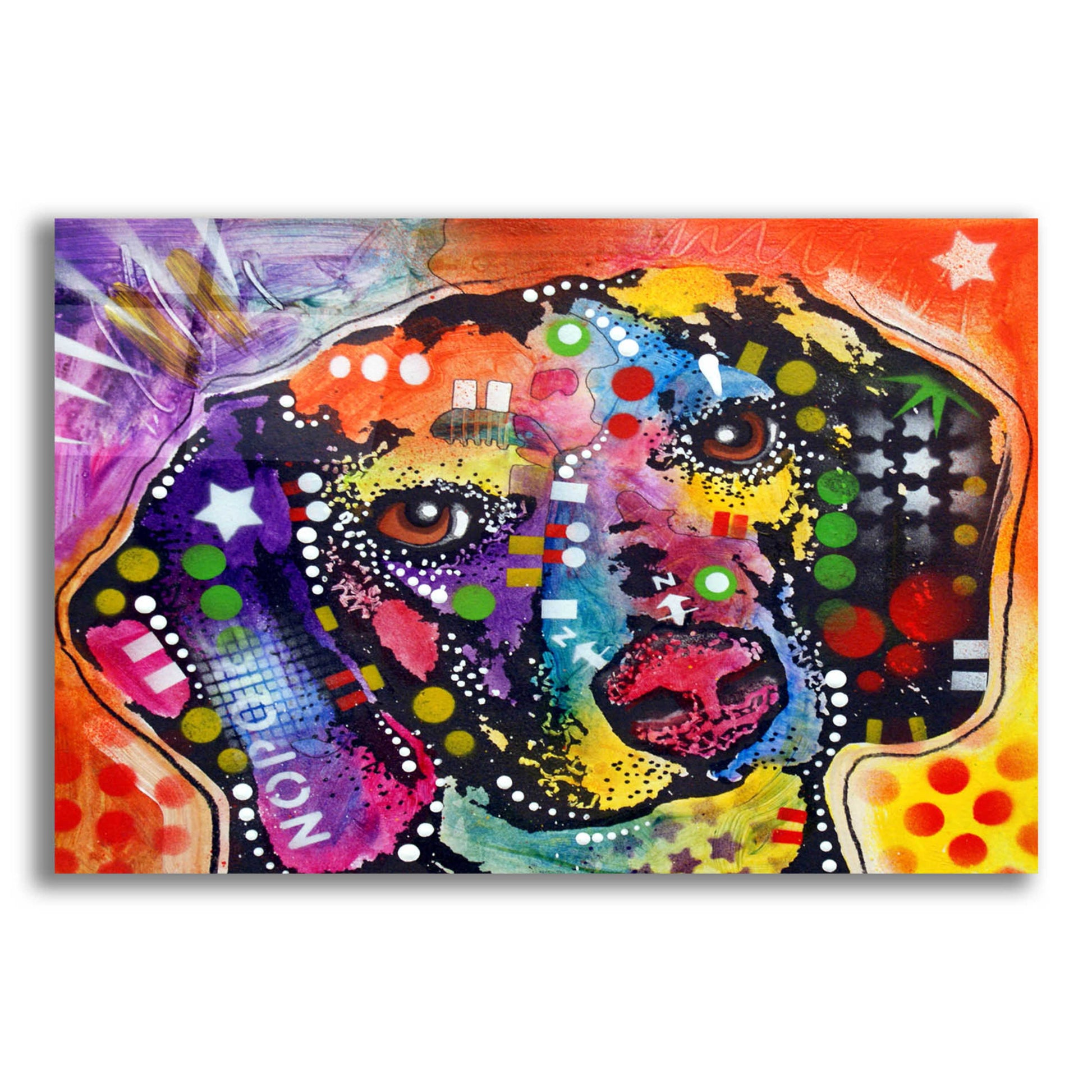 Epic Art 'Spotted Beagle' by Dean Russo, Acrylic Glass Wall Art,16x12