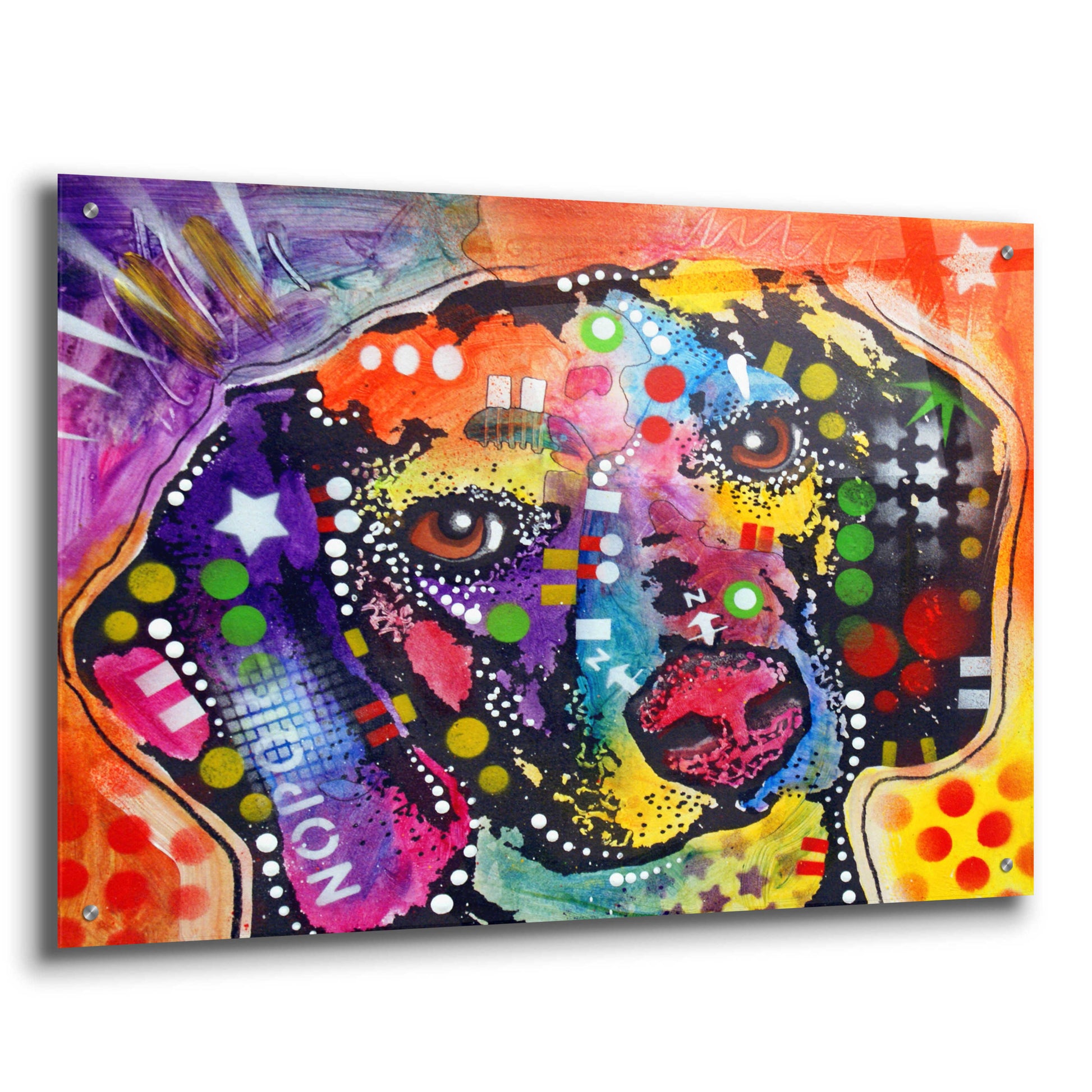 Epic Art 'Spotted Beagle' by Dean Russo, Acrylic Glass Wall Art,36x24