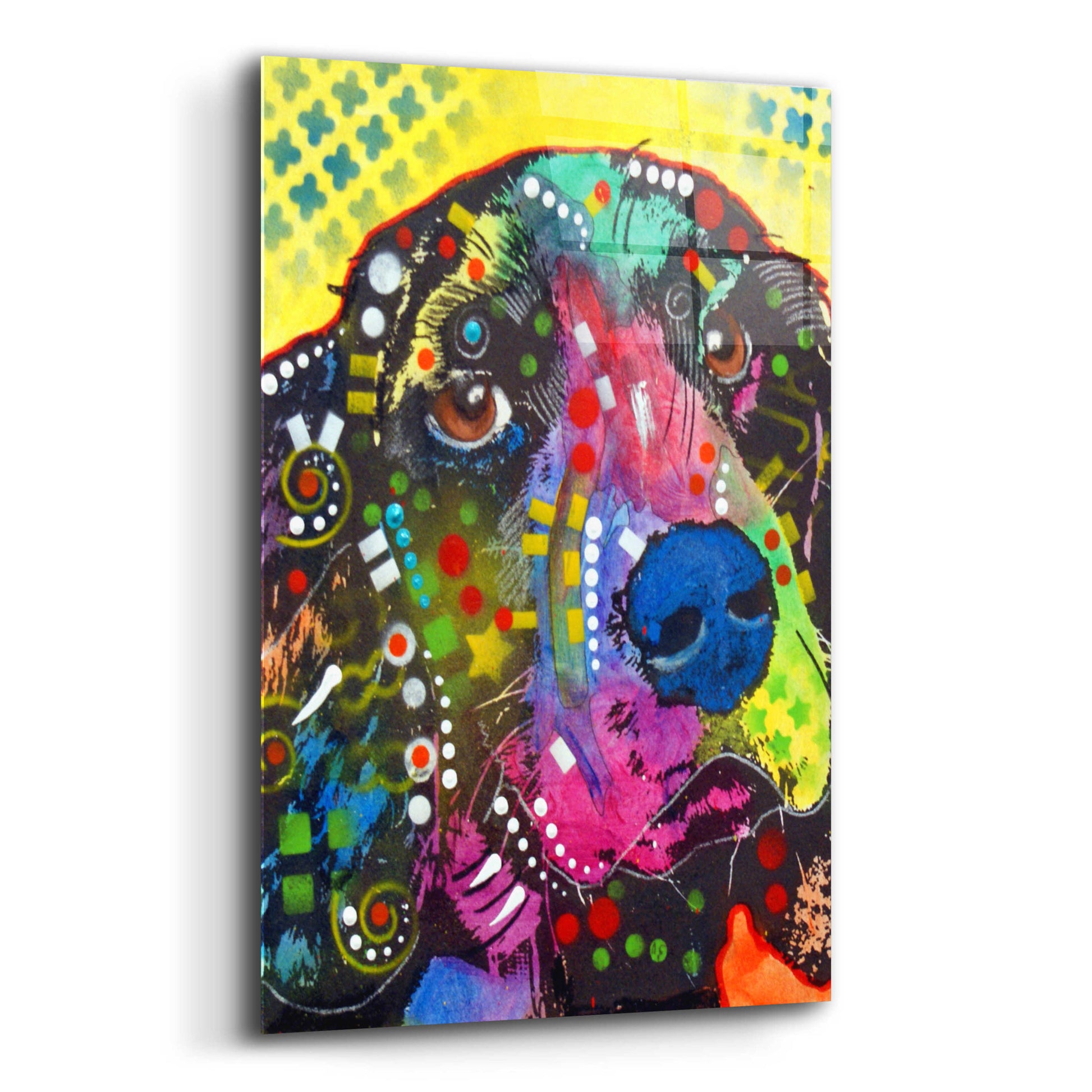 Epic Art 'Springer' by Dean Russo, Acrylic Glass Wall Art,12x16