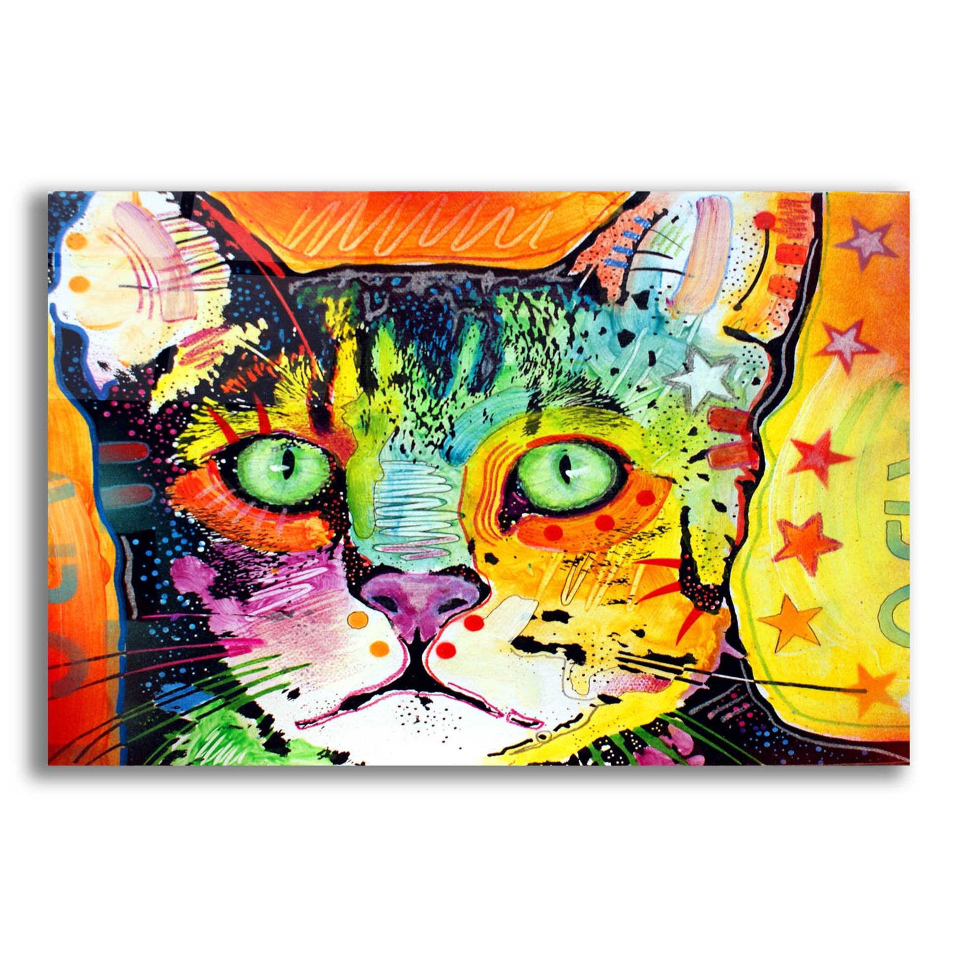 Epic Art 'Straight Cat' by Dean Russo, Acrylic Glass Wall Art,16x12