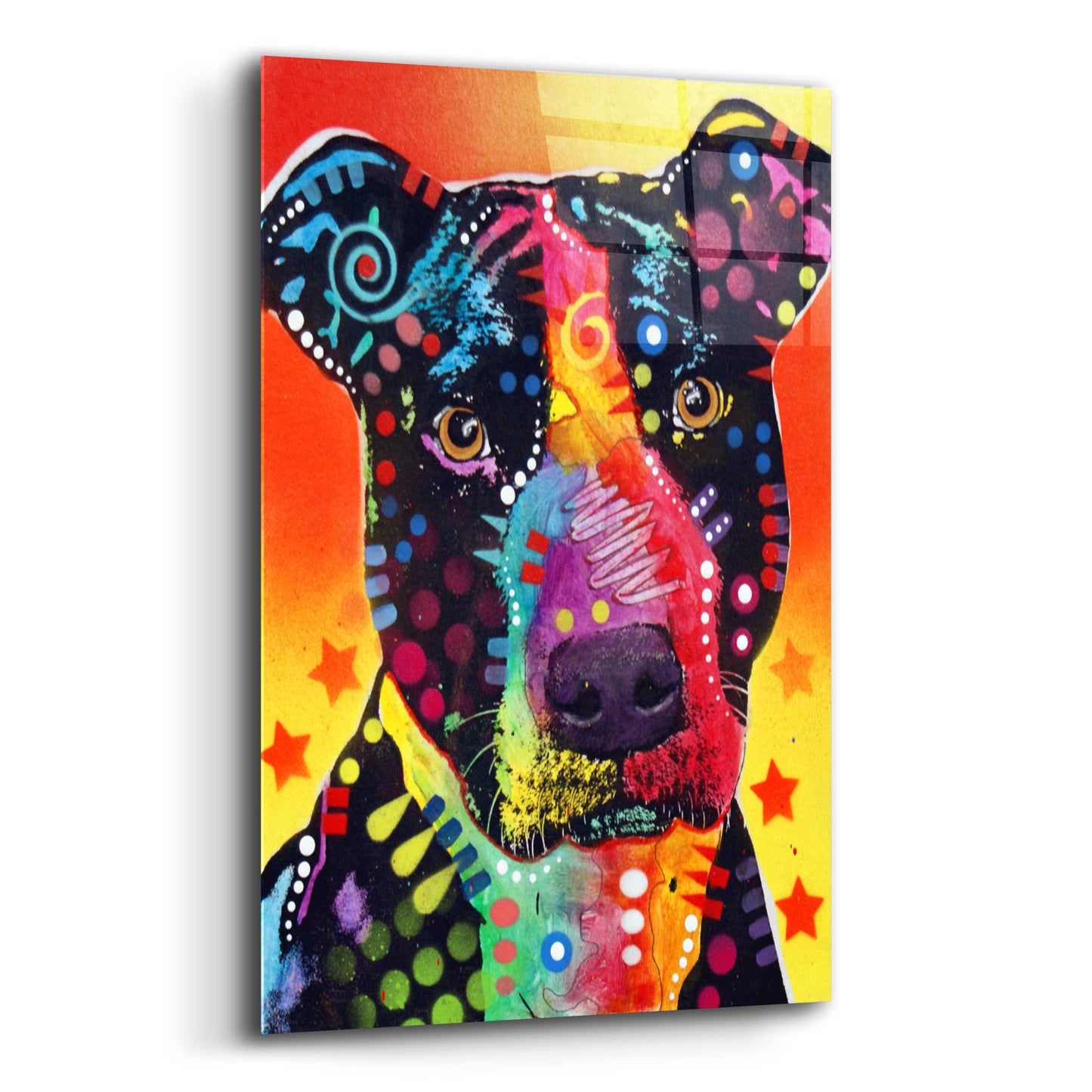 Epic Art 'The Focused Pit' by Dean Russo, Acrylic Glass Wall Art,12x16