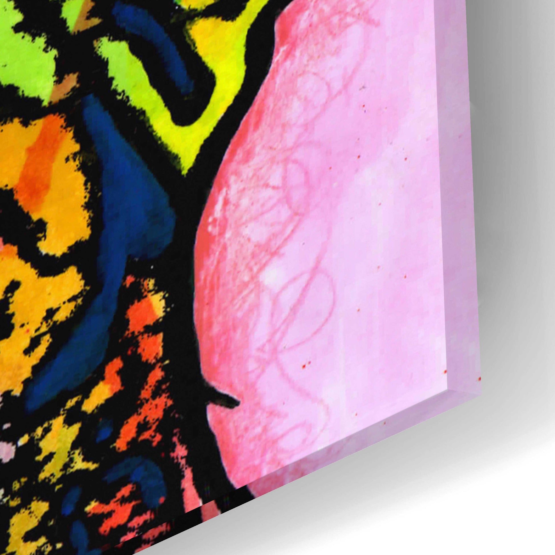 Epic Art 'Windows To My Soul' by Dean Russo, Acrylic Glass Wall Art,24x16