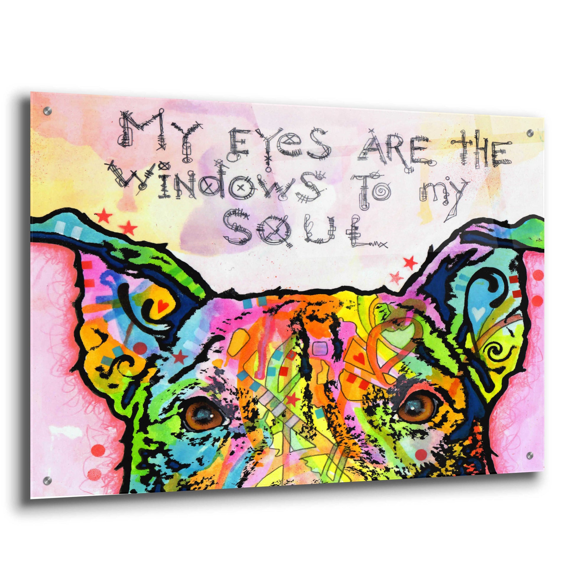 Epic Art 'Windows To My Soul' by Dean Russo, Acrylic Glass Wall Art,36x24