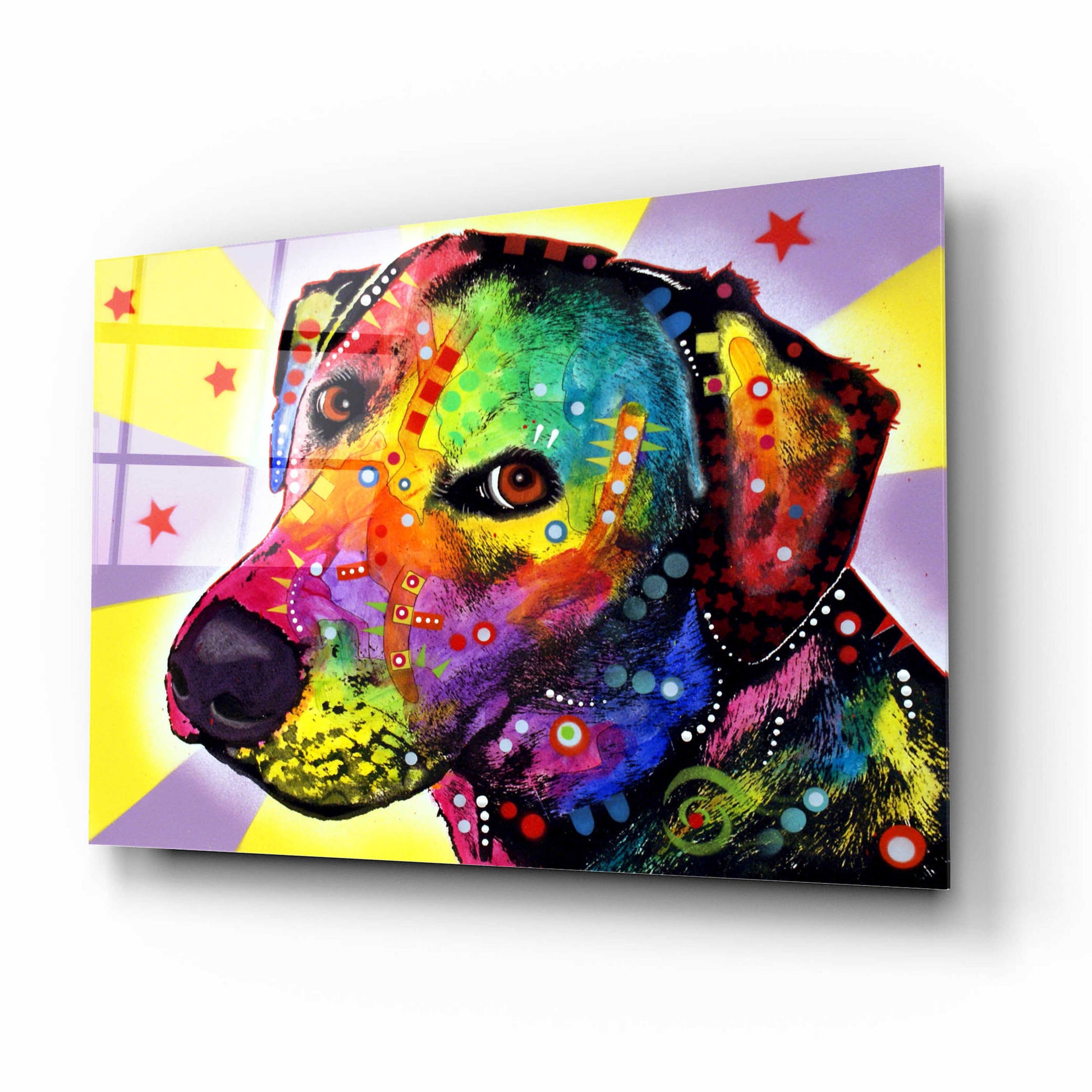 Epic Art 'YELLOW sorta LAB' by Dean Russo, Acrylic Glass Wall Art,16x12