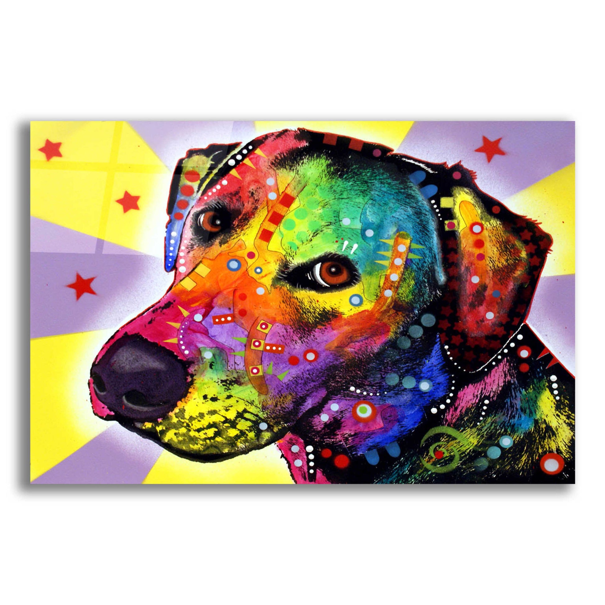 Epic Art 'YELLOW sorta LAB' by Dean Russo, Acrylic Glass Wall Art,16x12