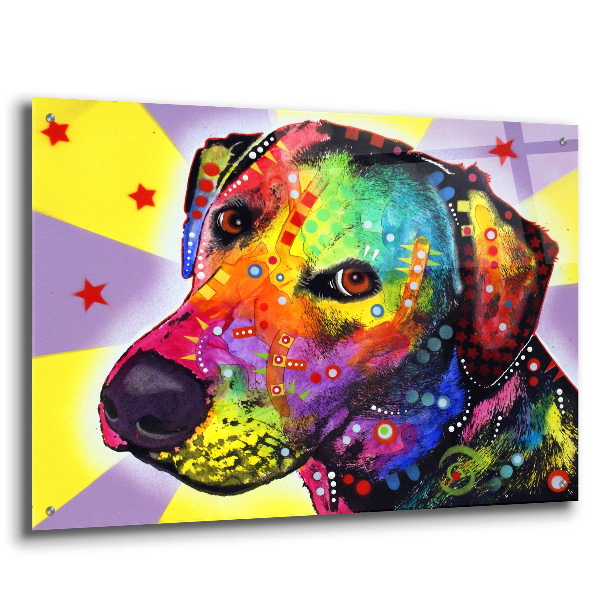 Epic Art 'YELLOW sorta LAB' by Dean Russo, Acrylic Glass Wall Art,36x24