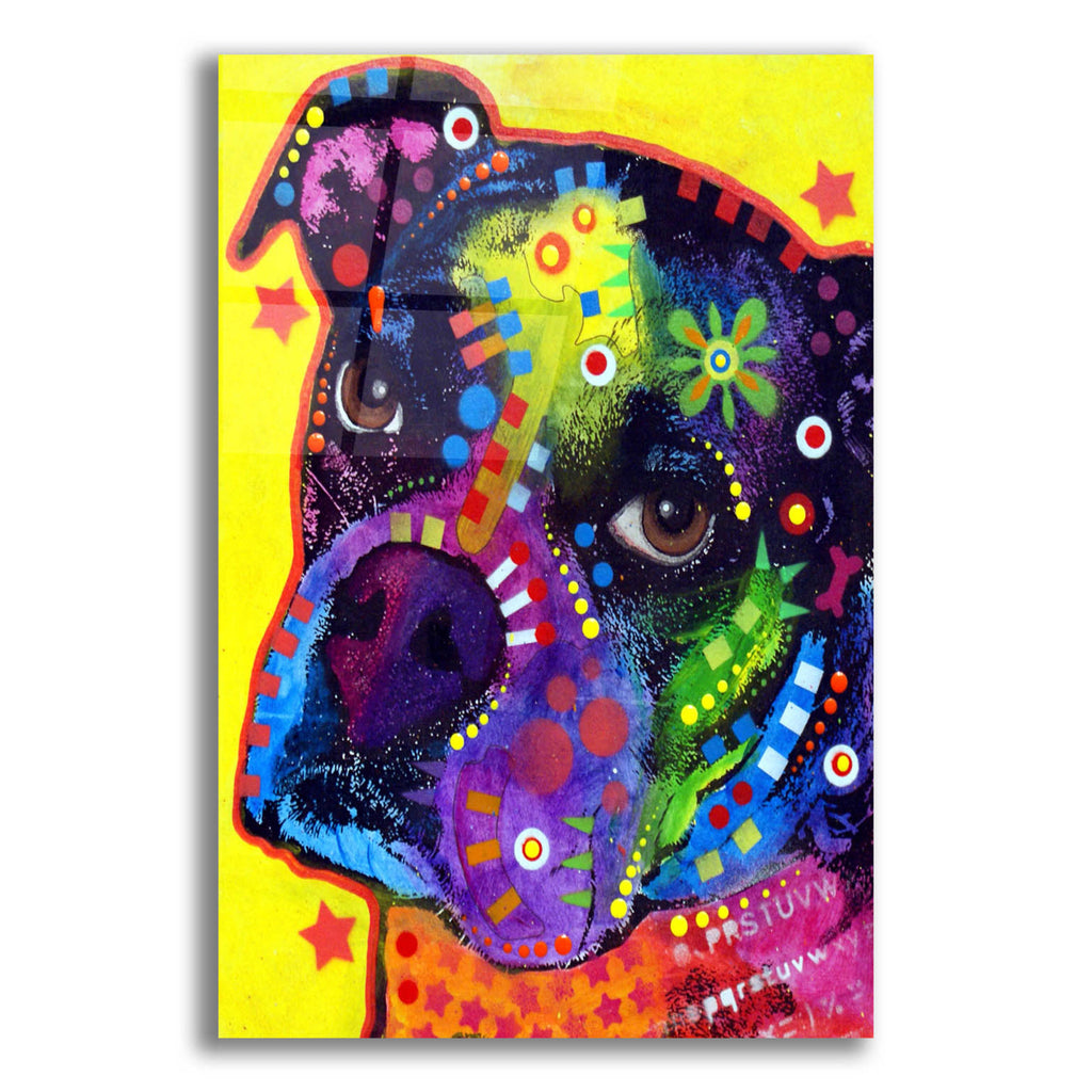 Epic Art 'Young Boxer 121609' by Dean Russo, Acrylic Glass Wall Art