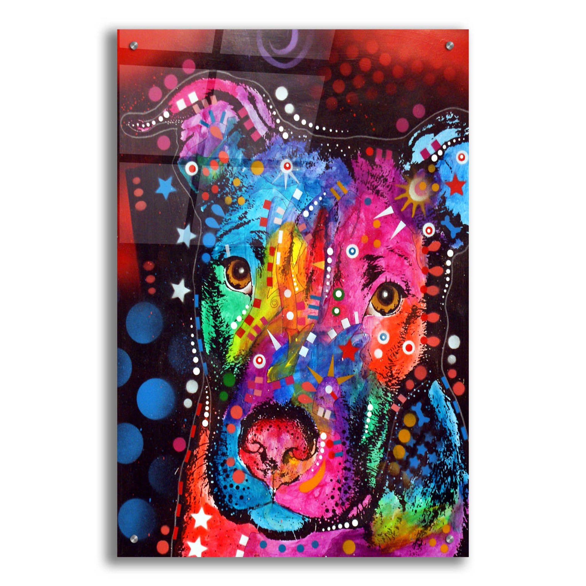 Epic Art 'Young Bull 120610' by Dean Russo, Acrylic Glass Wall Art,24x36