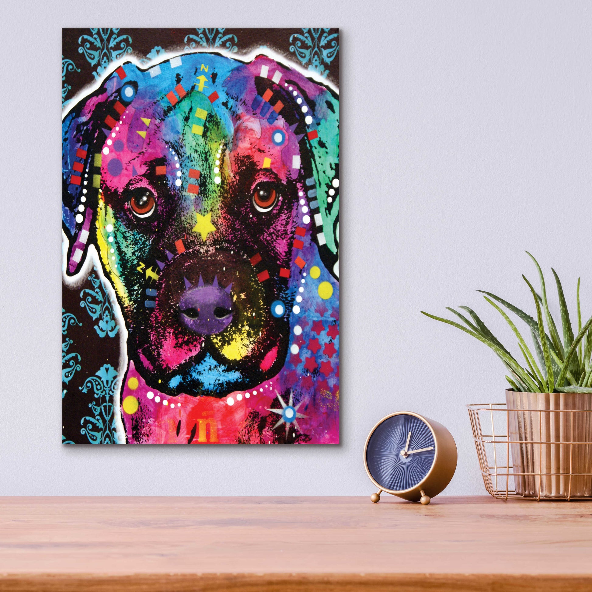 Epic Art 'Young Bullmastiff' by Dean Russo, Acrylic Glass Wall Art,12x16