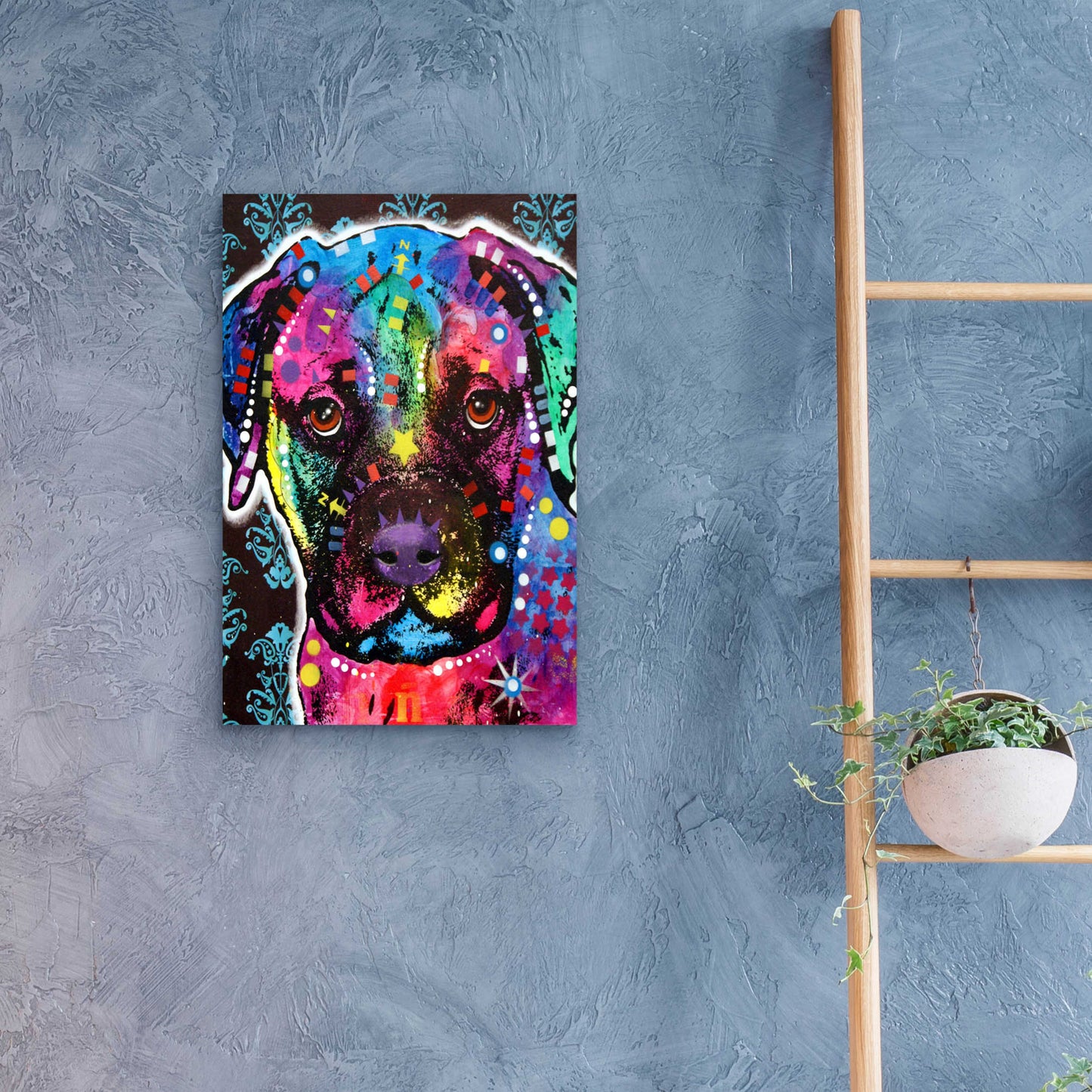 Epic Art 'Young Bullmastiff' by Dean Russo, Acrylic Glass Wall Art,16x24