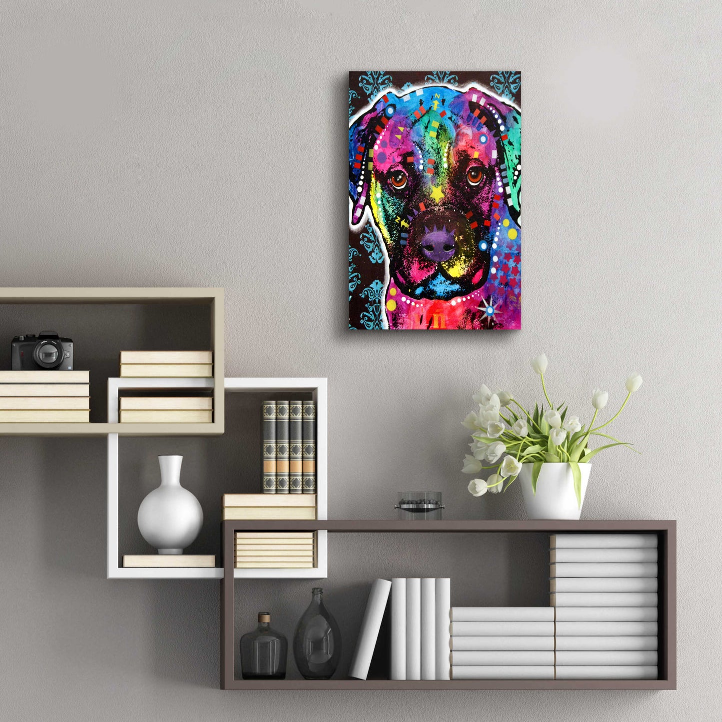 Epic Art 'Young Bullmastiff' by Dean Russo, Acrylic Glass Wall Art,16x24