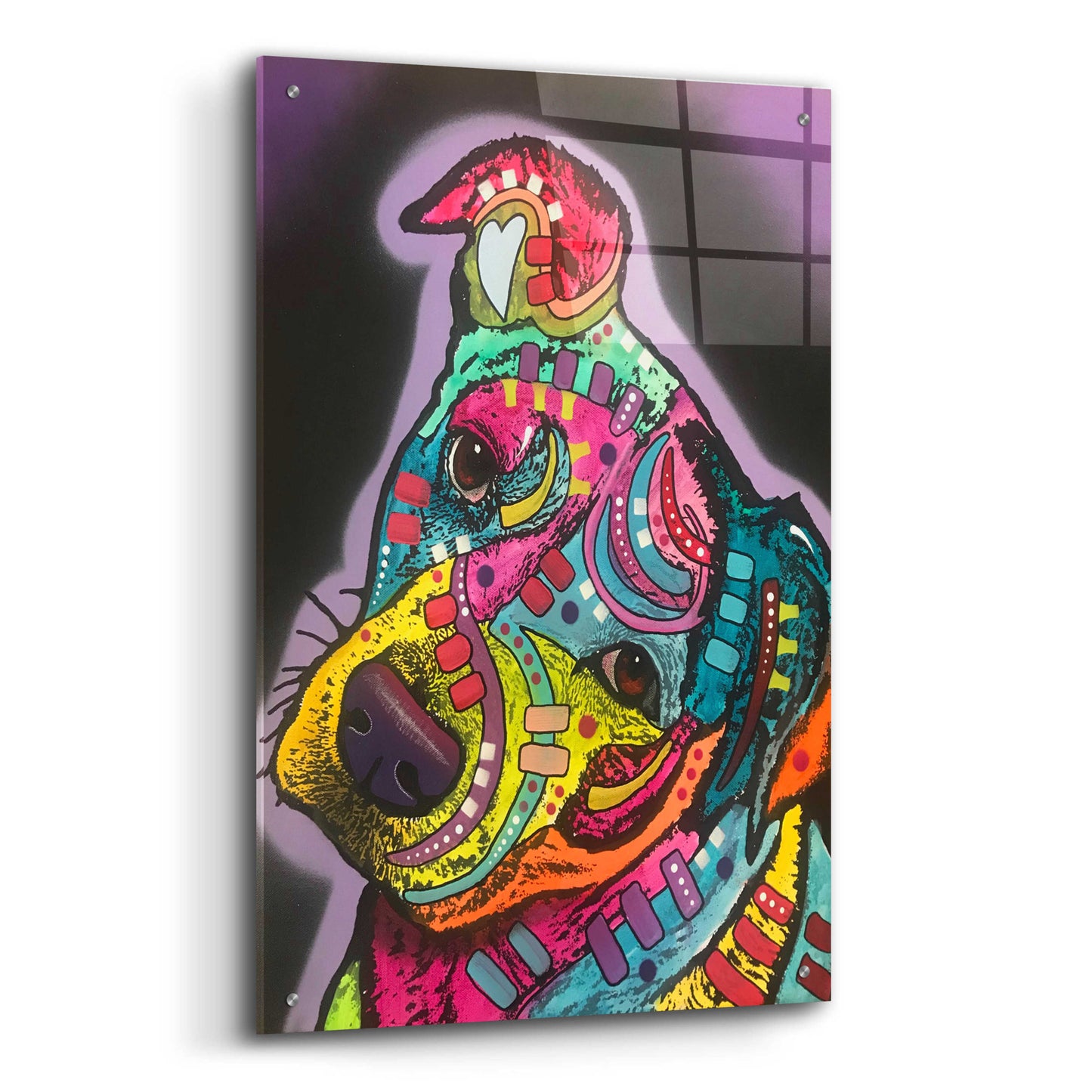 Epic Art 'Duck' by Dean Russo, Acrylic Glass Wall Art,24x36