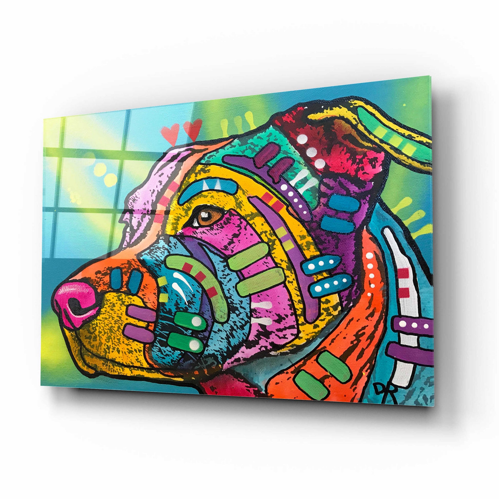 Epic Art 'Bailey' by Dean Russo, Acrylic Glass Wall Art,16x12