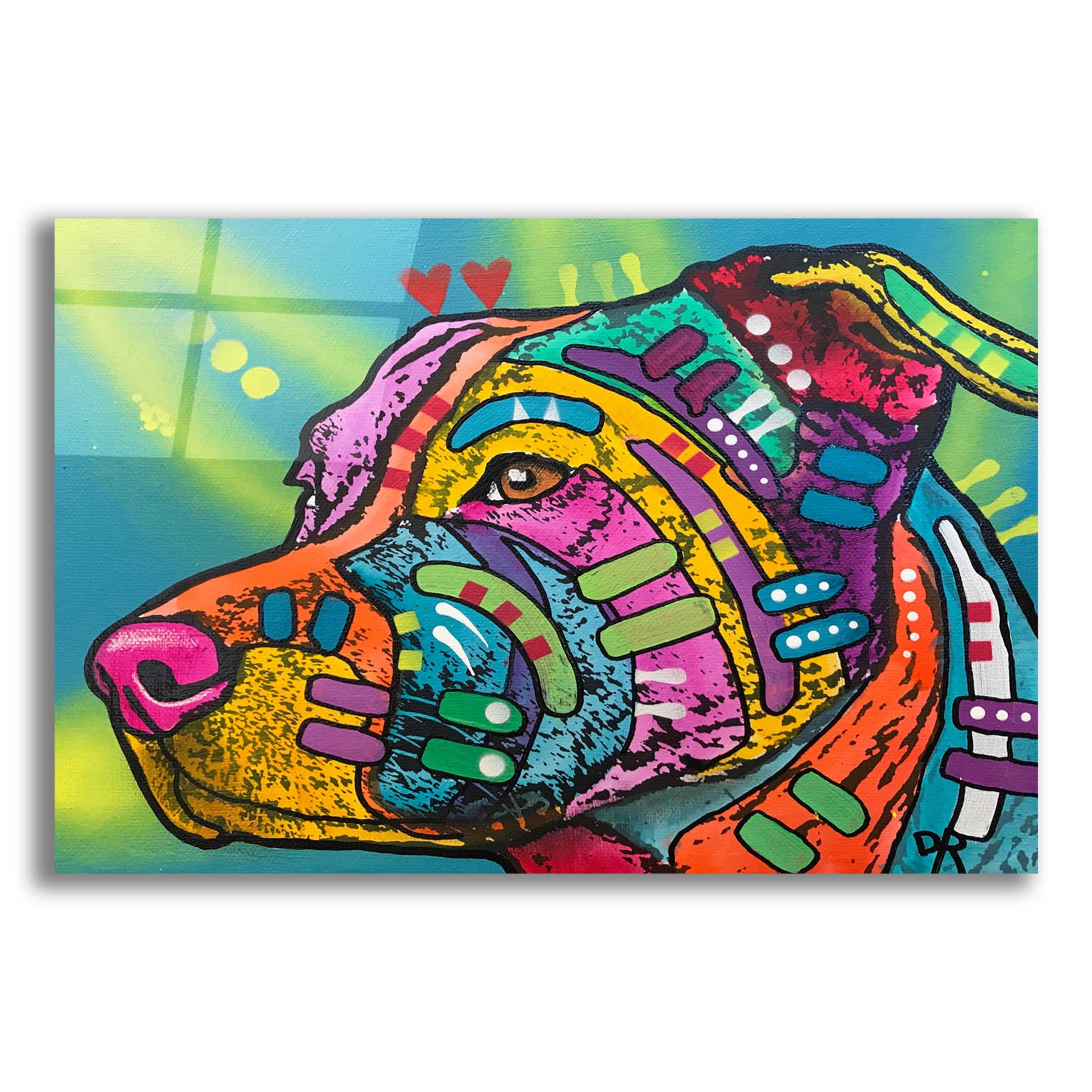 Epic Art 'Bailey' by Dean Russo, Acrylic Glass Wall Art,16x12