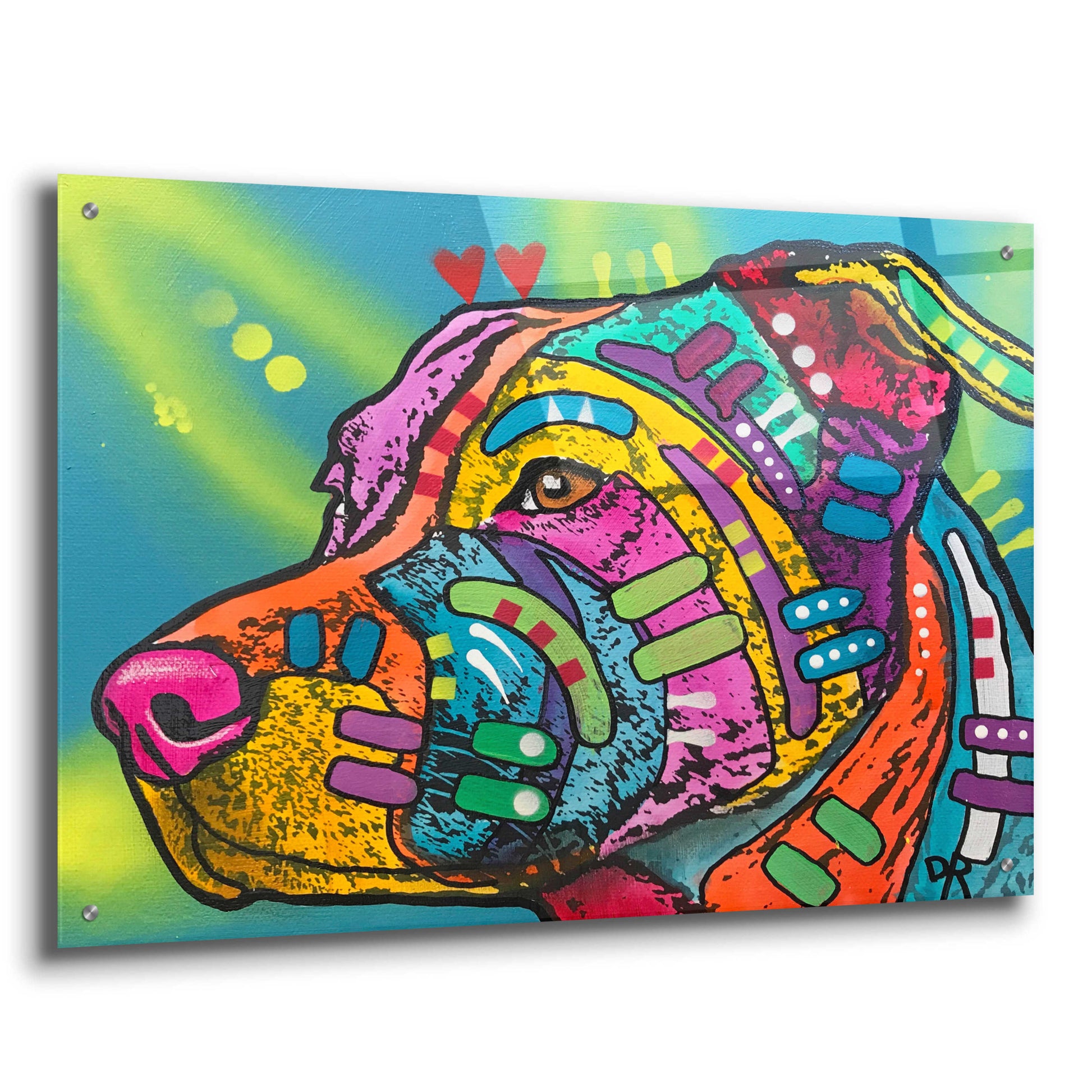 Epic Art 'Bailey' by Dean Russo, Acrylic Glass Wall Art,36x24