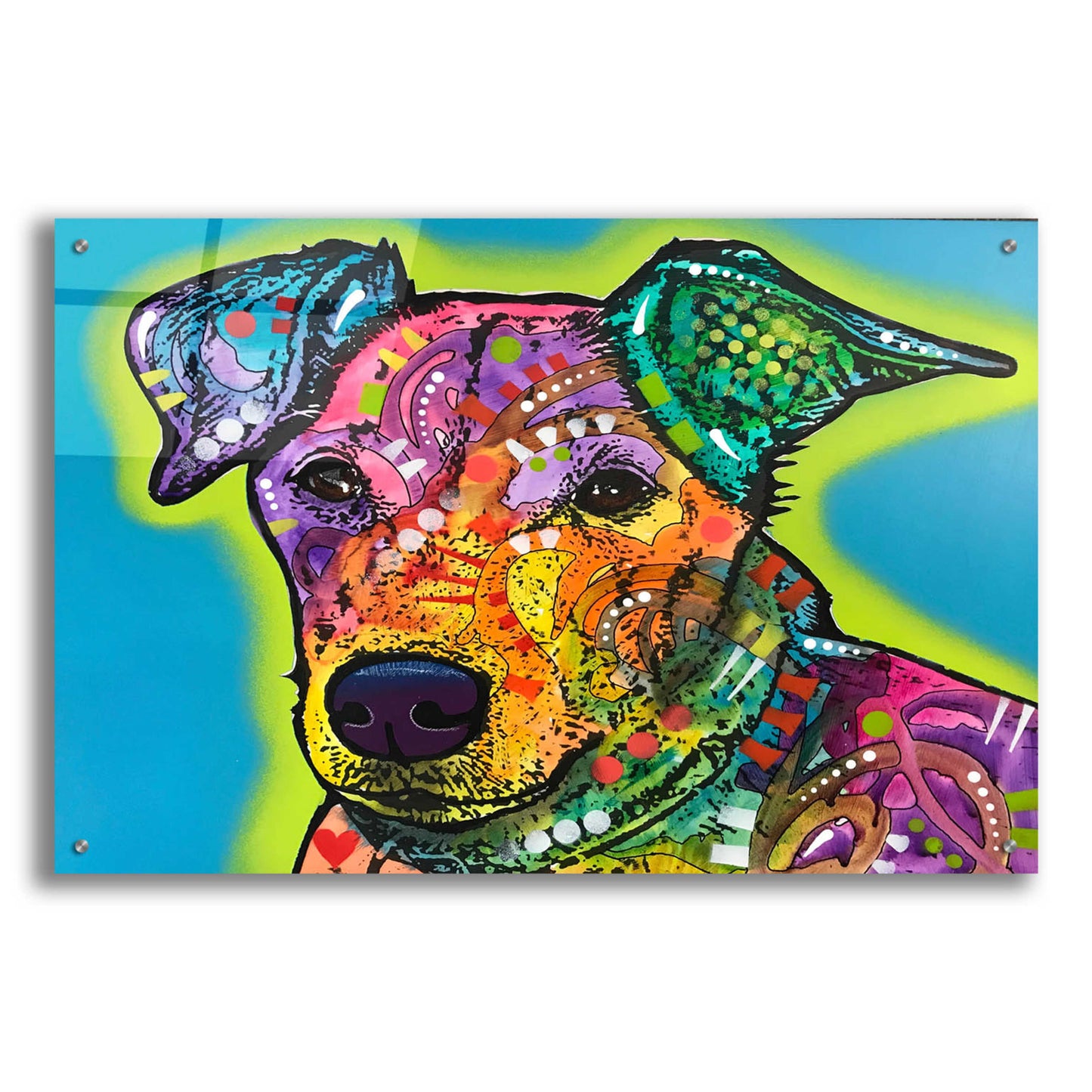 Epic Art 'Shamus' by Dean Russo, Acrylic Glass Wall Art,36x24