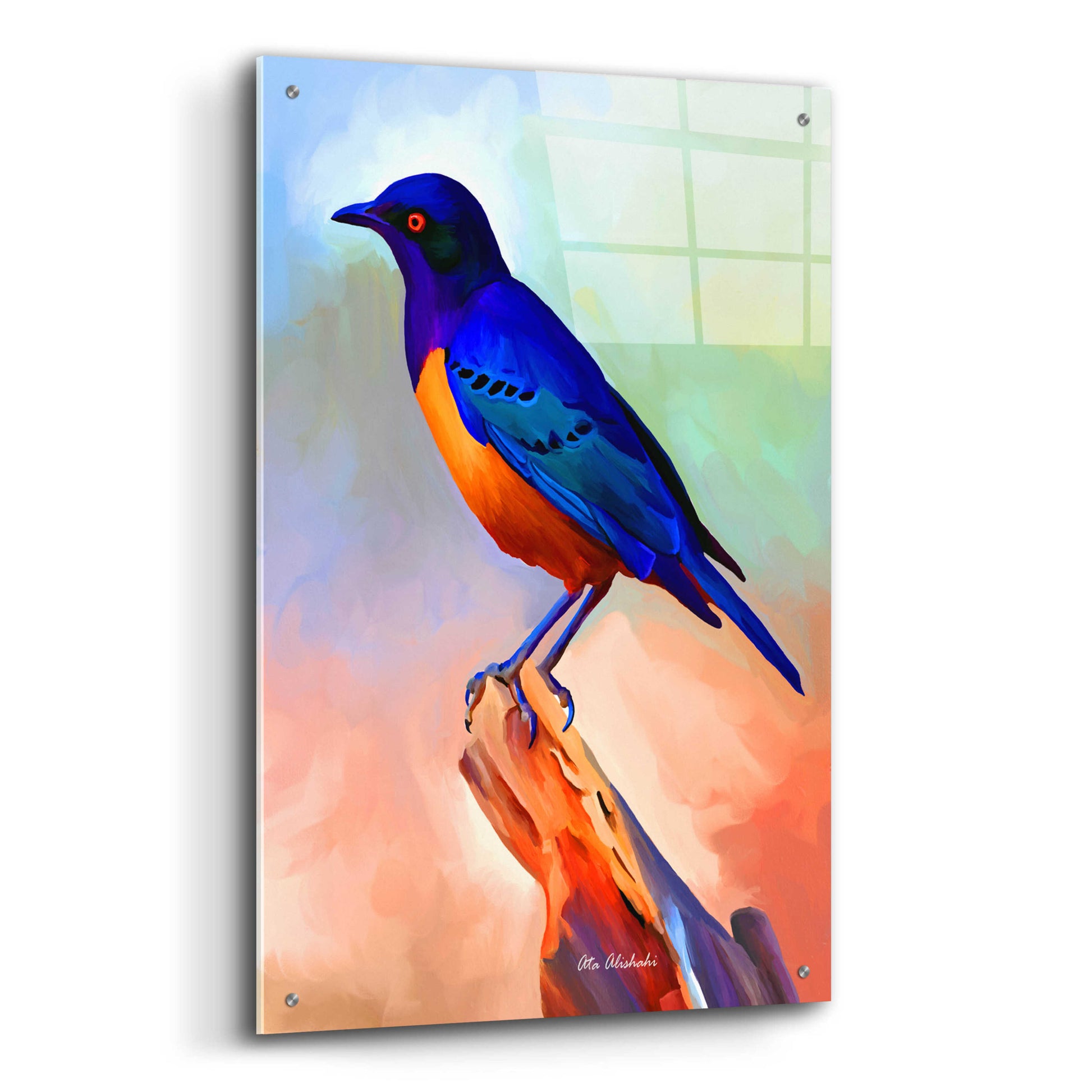 Epic Art 'Bird' by Ata Alishahi, Acrylic Glass Wall Art,24x36