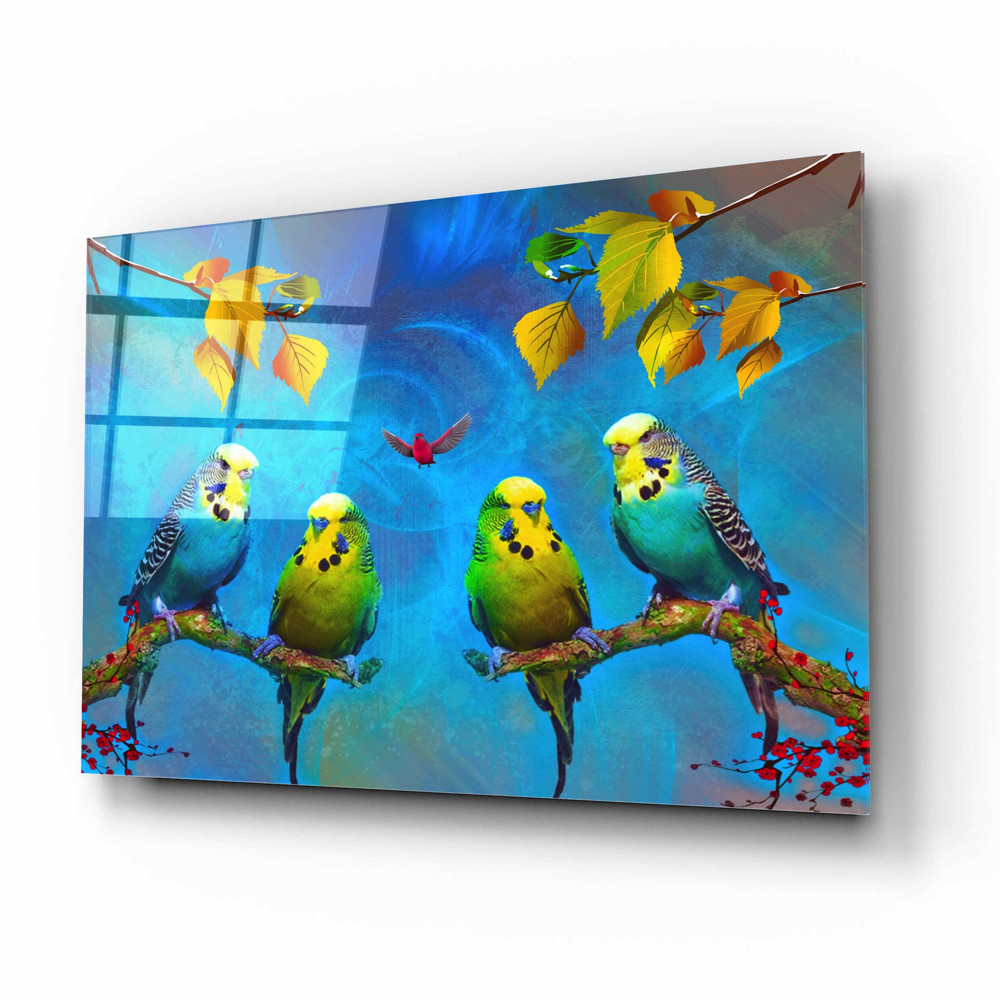Epic Art 'Color Birds' by Ata Alishahi, Acrylic Glass Wall Art,16x12