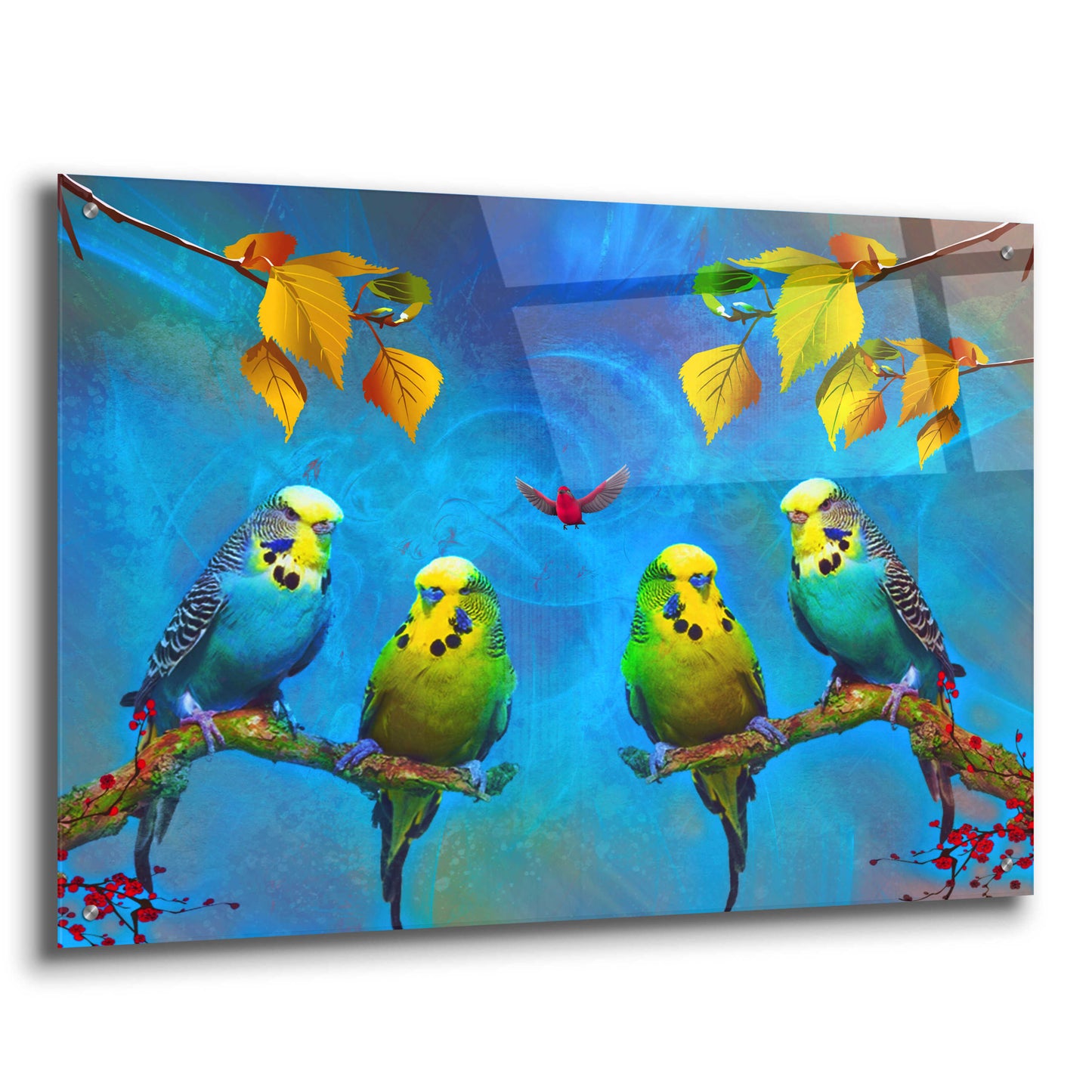 Epic Art 'Color Birds' by Ata Alishahi, Acrylic Glass Wall Art,36x24