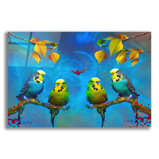 Epic Art 'Color Birds' by Ata Alishahi, Acrylic Glass Wall Art
