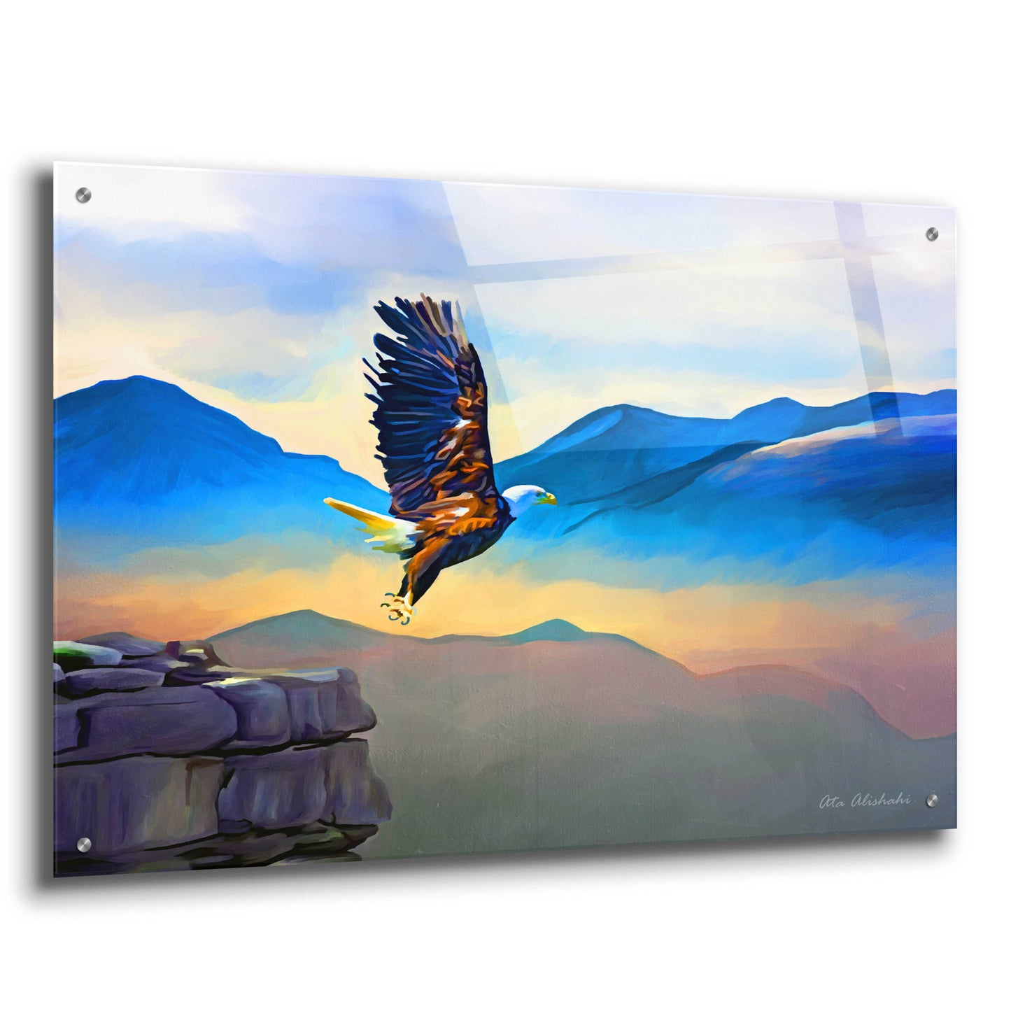 Epic Art 'Fly Higher' by Ata Alishahi, Acrylic Glass Wall Art,36x24