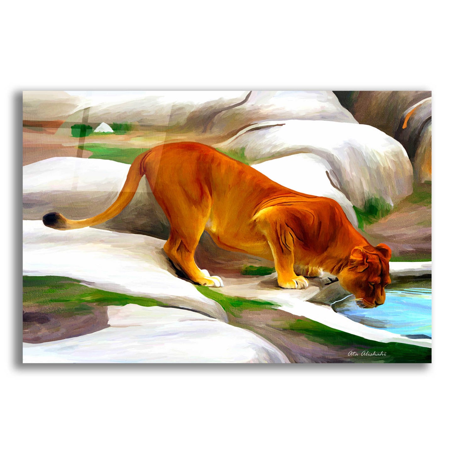 Epic Art 'Lioness' by Ata Alishahi, Acrylic Glass Wall Art,16x12