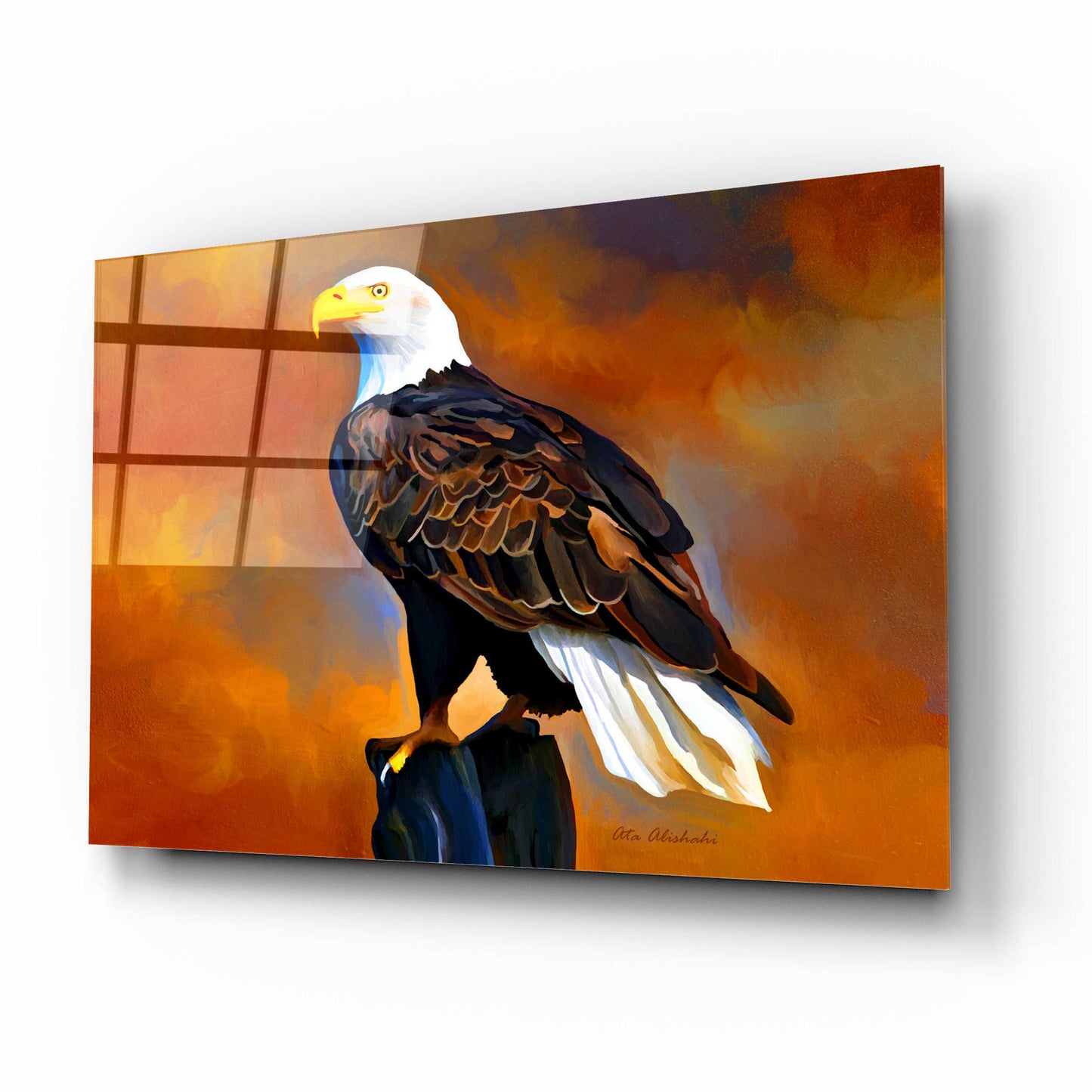 Epic Art 'The Eagle' by Ata Alishahi, Acrylic Glass Wall Art,16x12