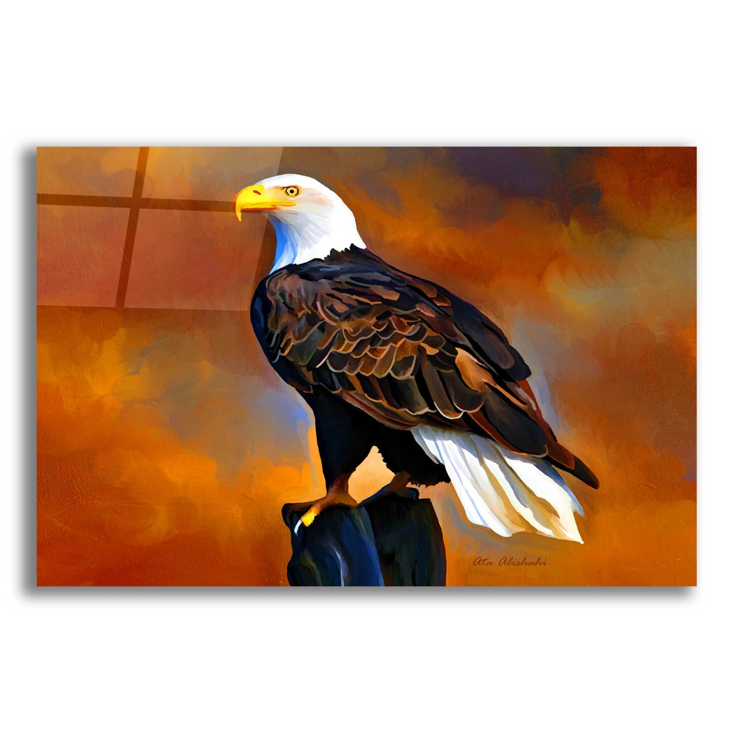 Epic Art 'The Eagle' by Ata Alishahi, Acrylic Glass Wall Art,16x12