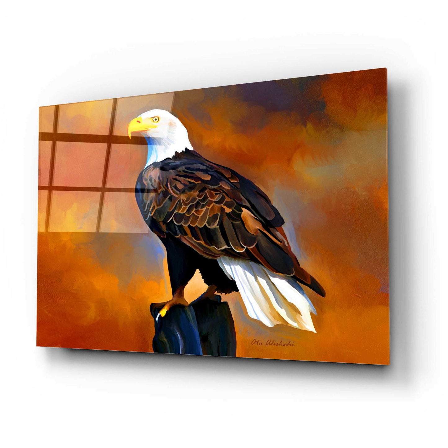 Epic Art 'The Eagle' by Ata Alishahi, Acrylic Glass Wall Art,24x16