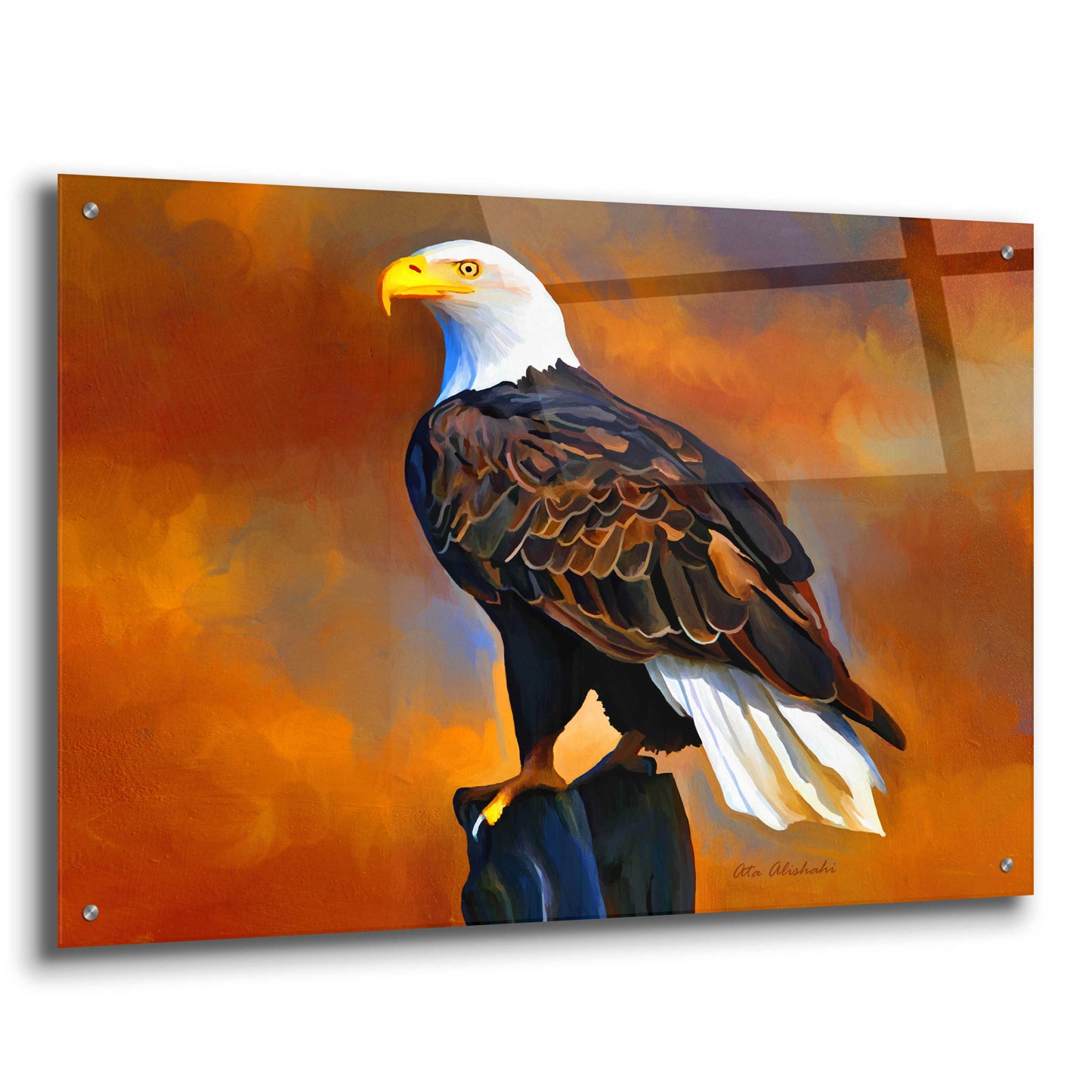 Epic Art 'The Eagle' by Ata Alishahi, Acrylic Glass Wall Art,36x24