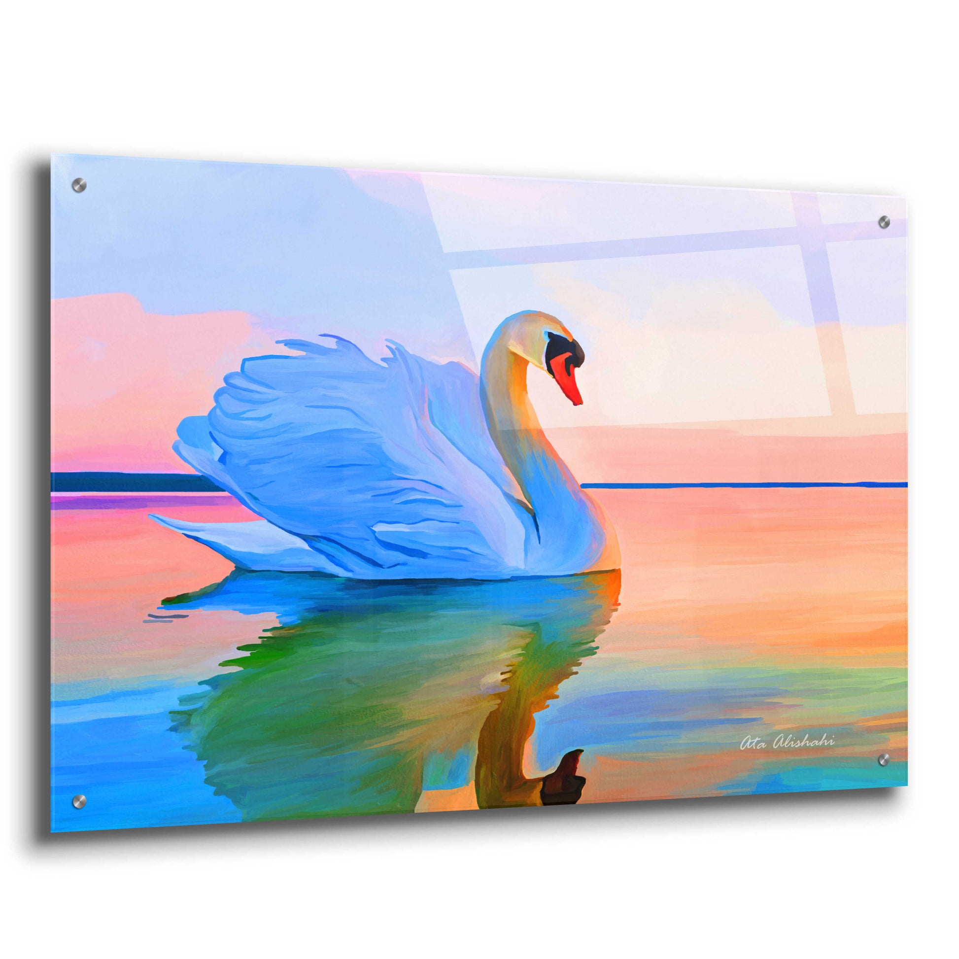 Epic Art 'White Swan' by Ata Alishahi, Acrylic Glass Wall Art,36x24