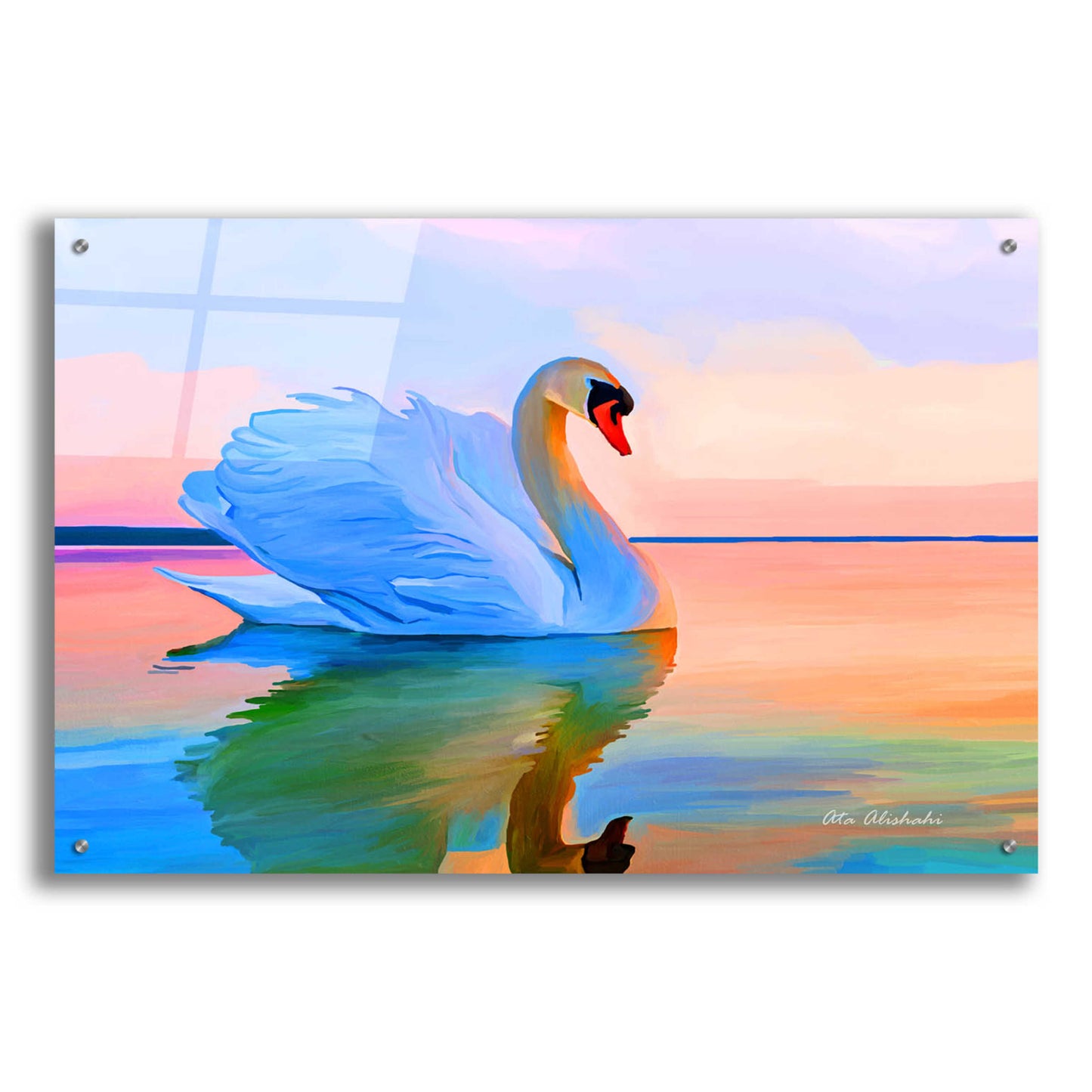 Epic Art 'White Swan' by Ata Alishahi, Acrylic Glass Wall Art,36x24