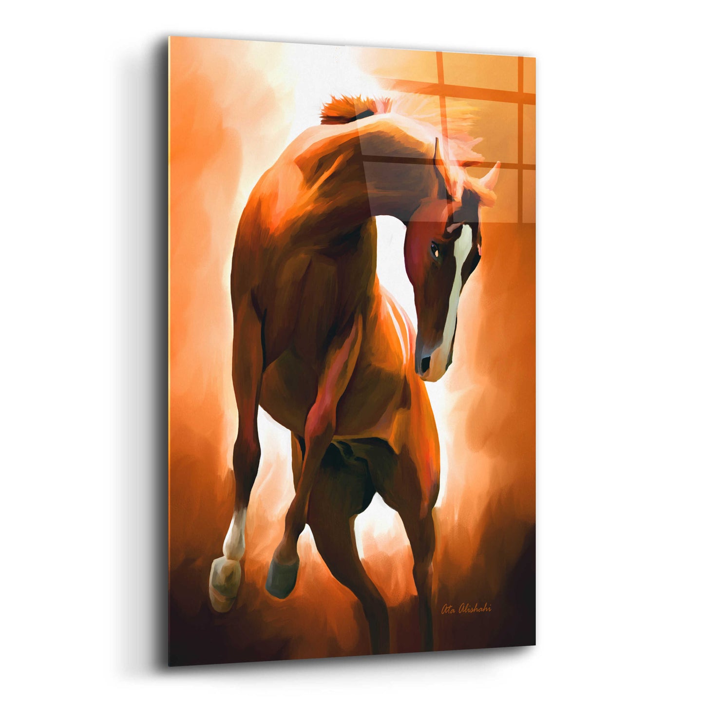 Epic Art 'Wild Horse' by Ata Alishahi, Acrylic Glass Wall Art,12x16