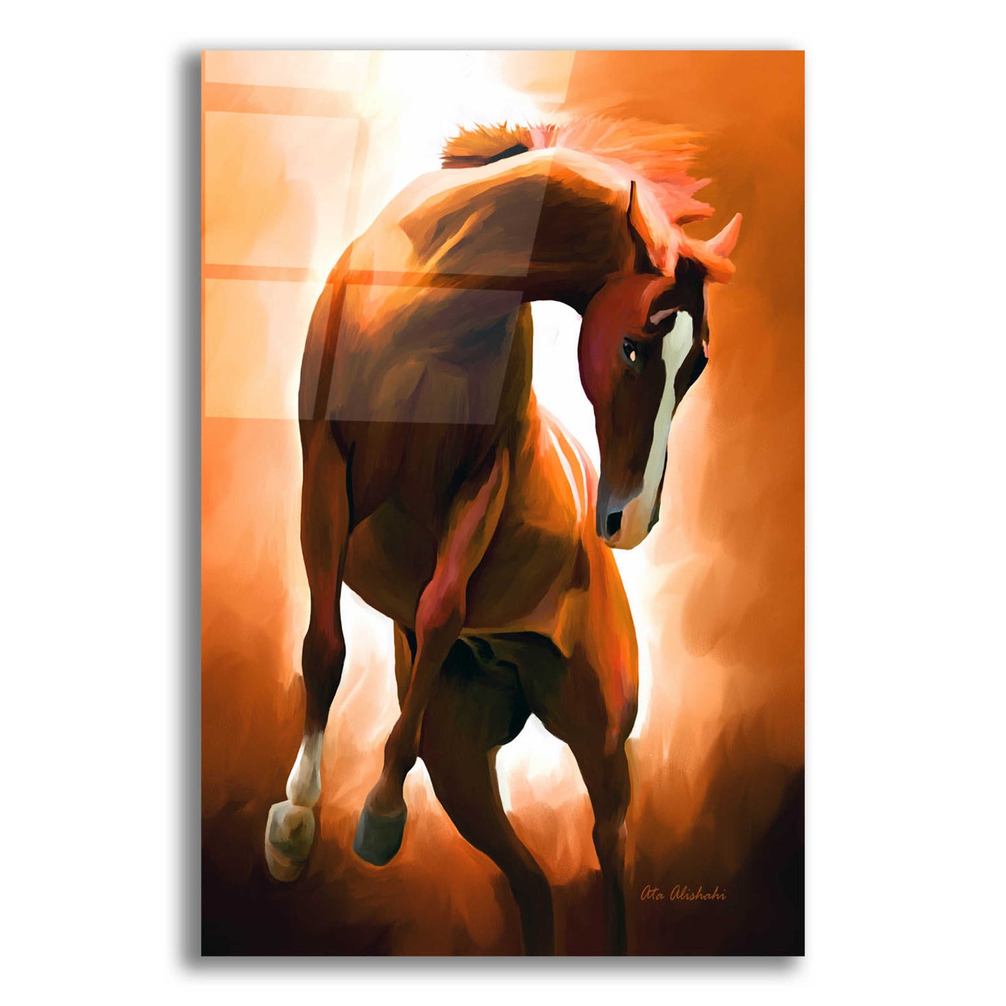 Epic Art 'Wild Horse' by Ata Alishahi, Acrylic Glass Wall Art,12x16