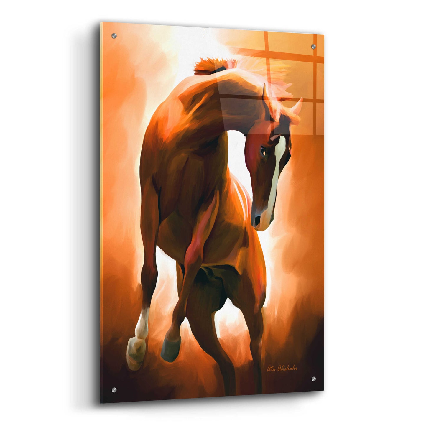 Epic Art 'Wild Horse' by Ata Alishahi, Acrylic Glass Wall Art,24x36