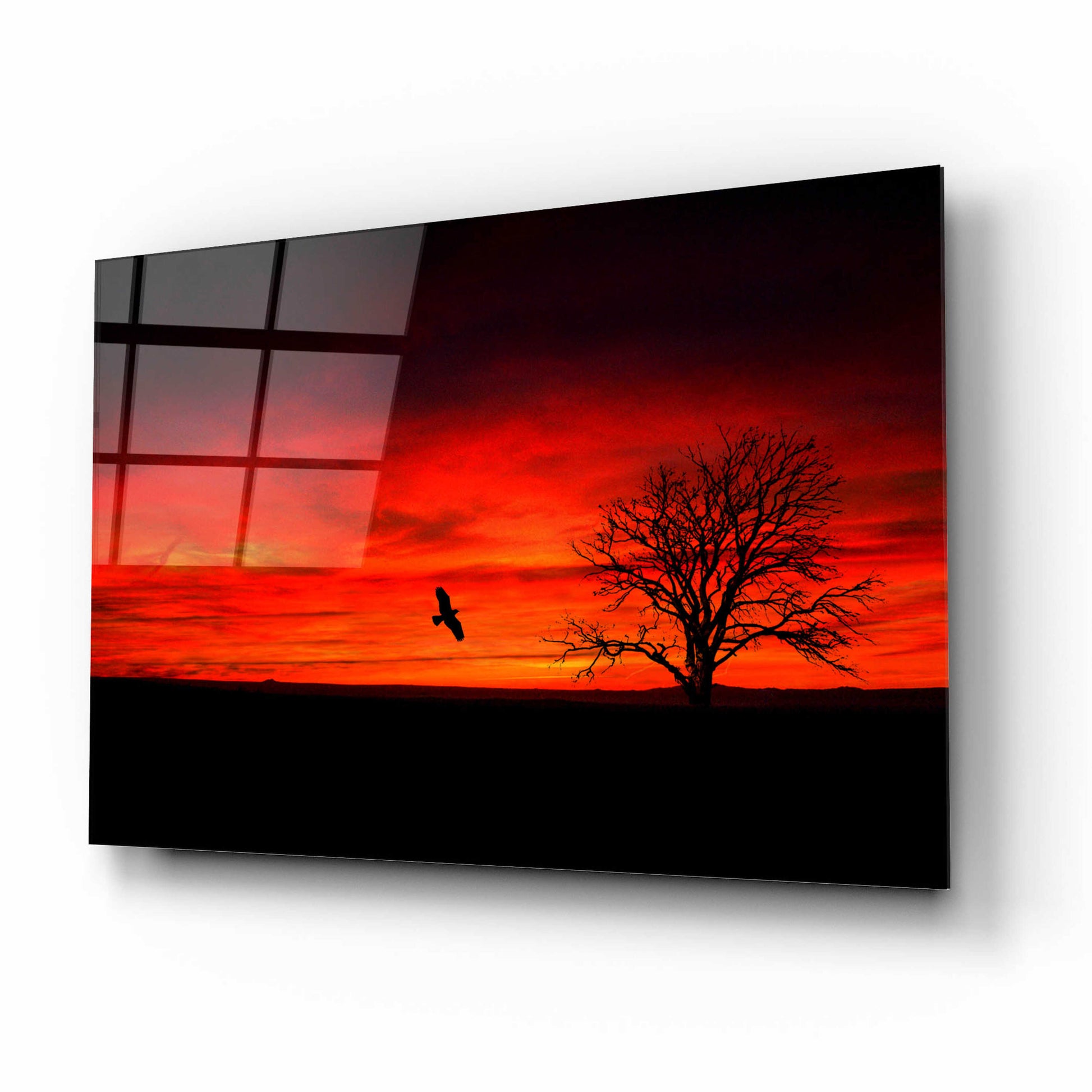 Epic Art 'Lone Tree And A Bird' by Ata Alishahi, Acrylic Glass Wall Art,16x12