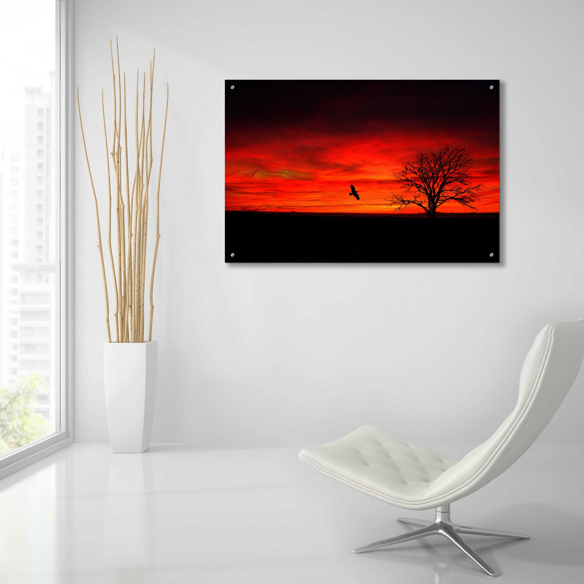 Epic Art 'Lone Tree And A Bird' by Ata Alishahi, Acrylic Glass Wall Art,36x24