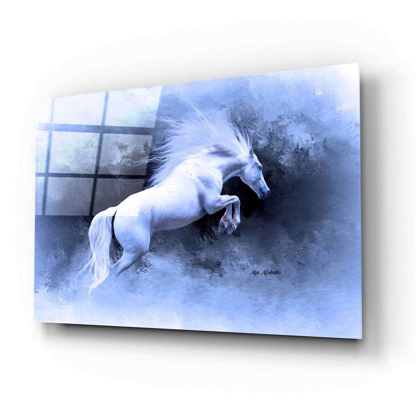 Epic Art 'White Horse' by Ata Alishahi, Acrylic Glass Wall Art,16x12