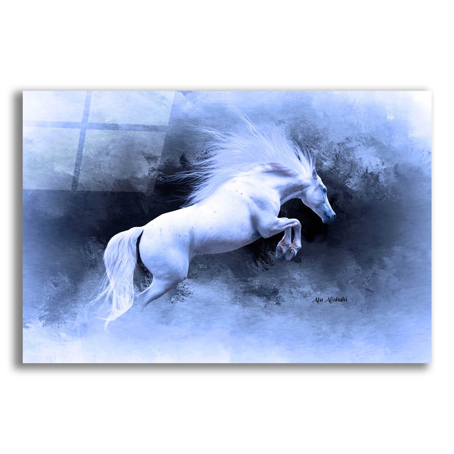 Epic Art 'White Horse' by Ata Alishahi, Acrylic Glass Wall Art,16x12