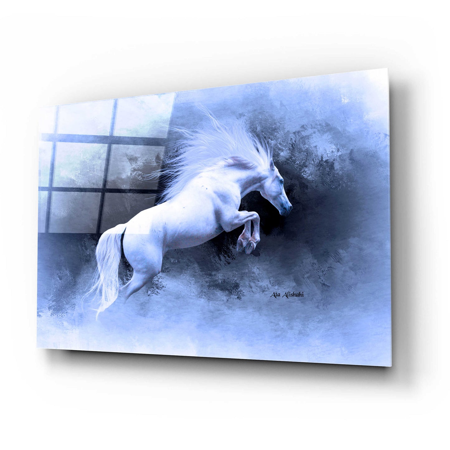 Epic Art 'White Horse' by Ata Alishahi, Acrylic Glass Wall Art,24x16