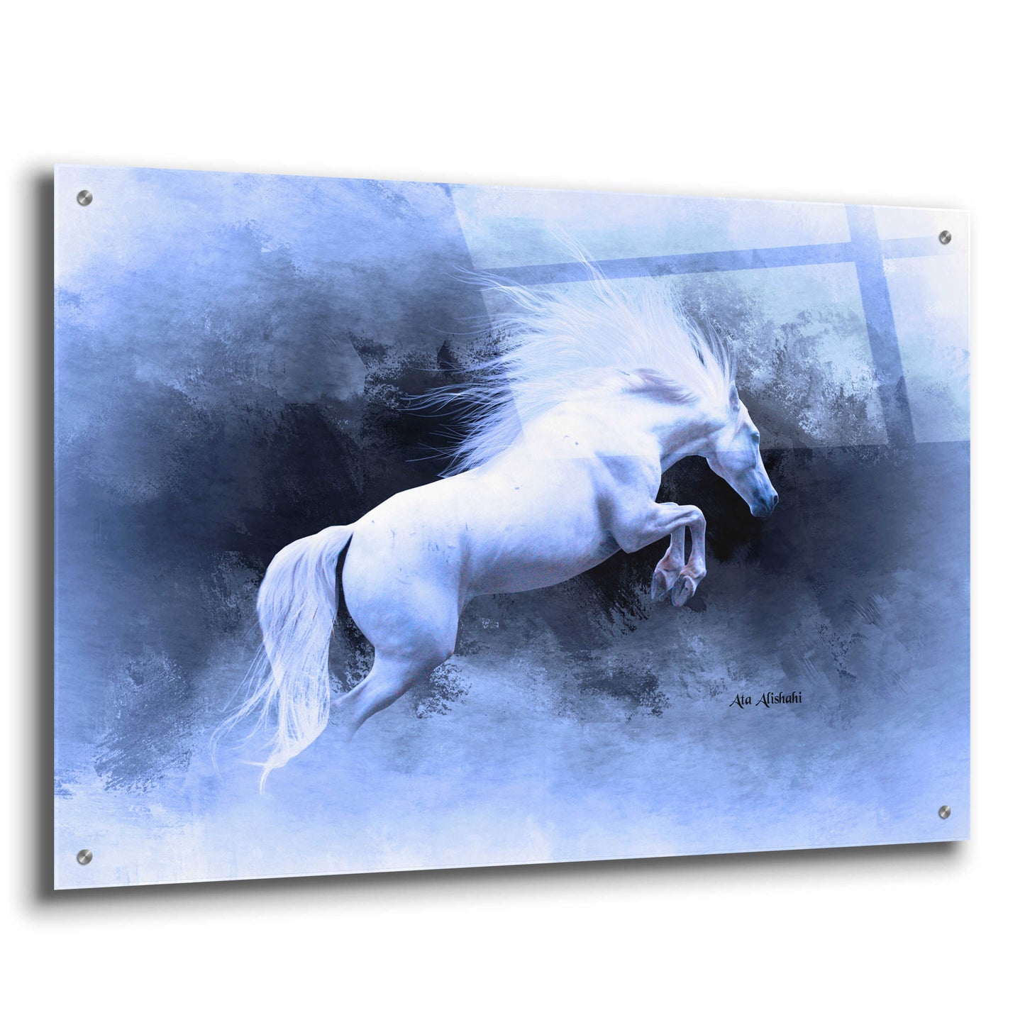 Epic Art 'White Horse' by Ata Alishahi, Acrylic Glass Wall Art,36x24