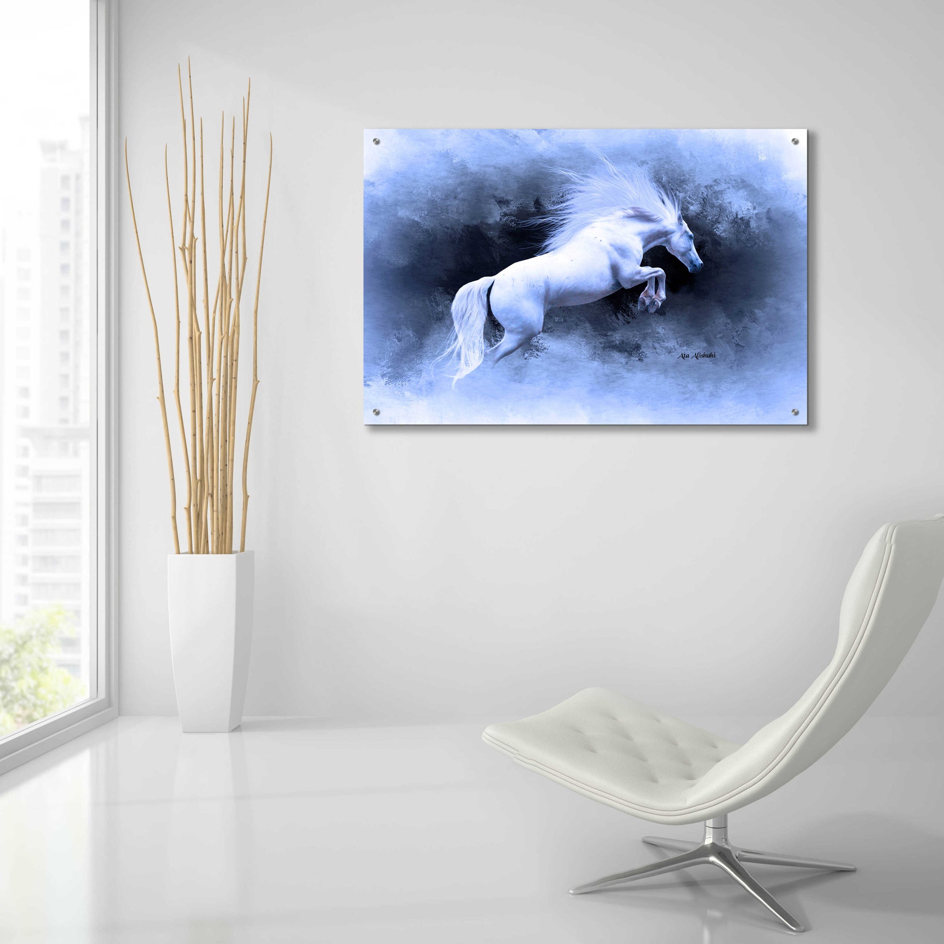 Epic Art 'White Horse' by Ata Alishahi, Acrylic Glass Wall Art,36x24