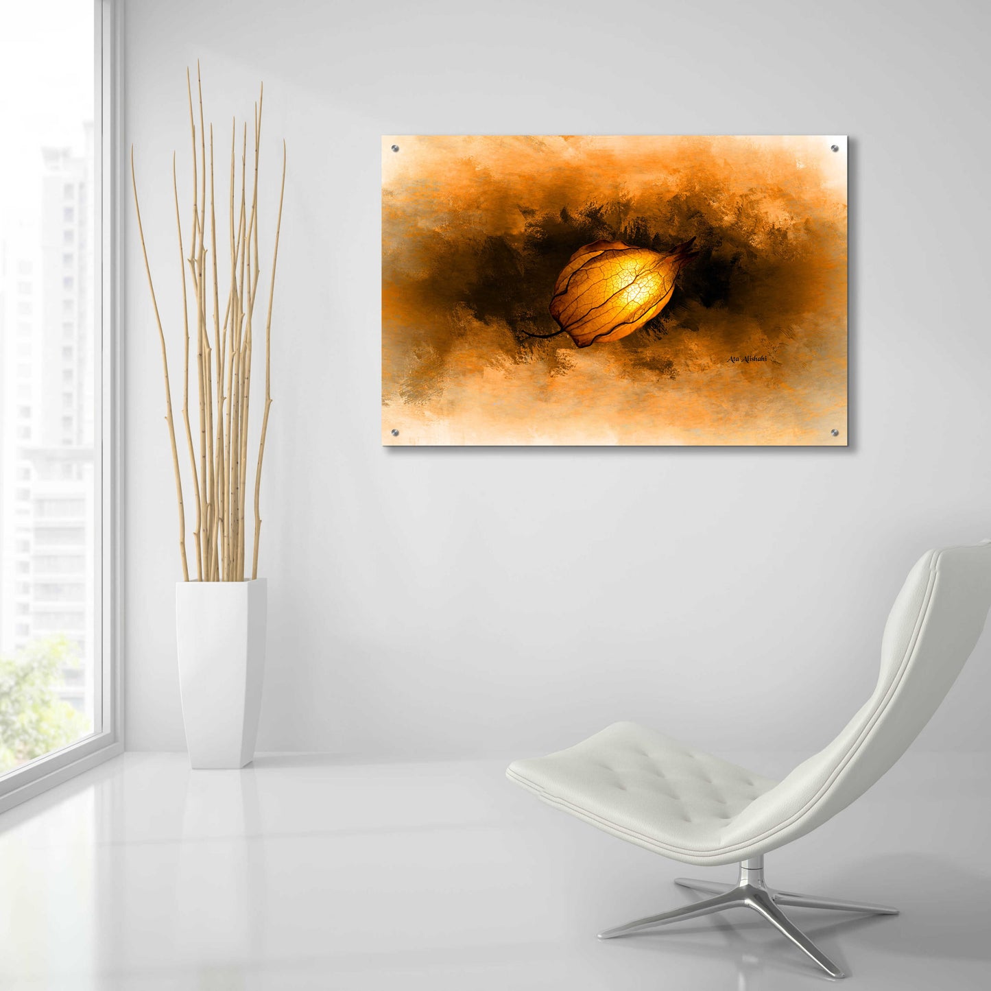 Epic Art 'Seed' by Ata Alishahi, Acrylic Glass Wall Art,36x24