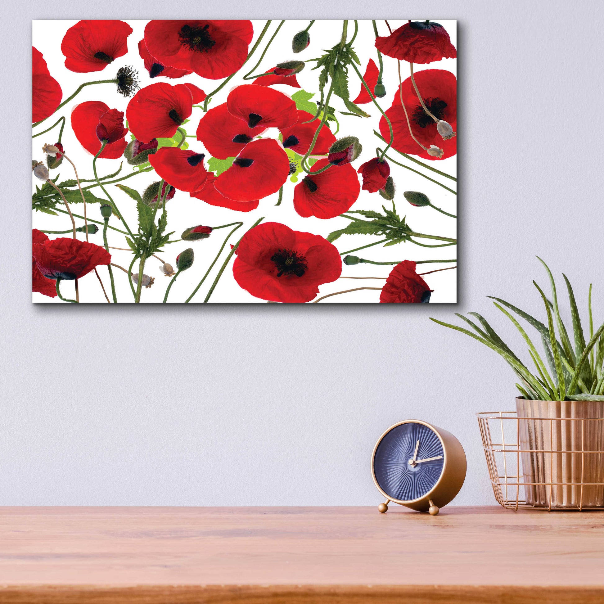 Epic Art 'Poppy Flower' by Ata Alishahi, Acrylic Glass Wall Art,16x12