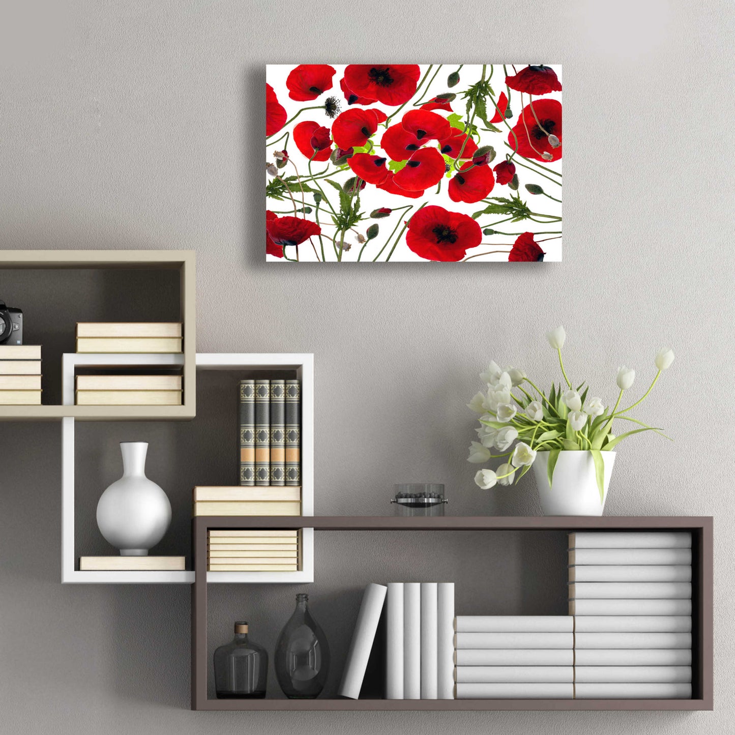 Epic Art 'Poppy Flower' by Ata Alishahi, Acrylic Glass Wall Art,24x16