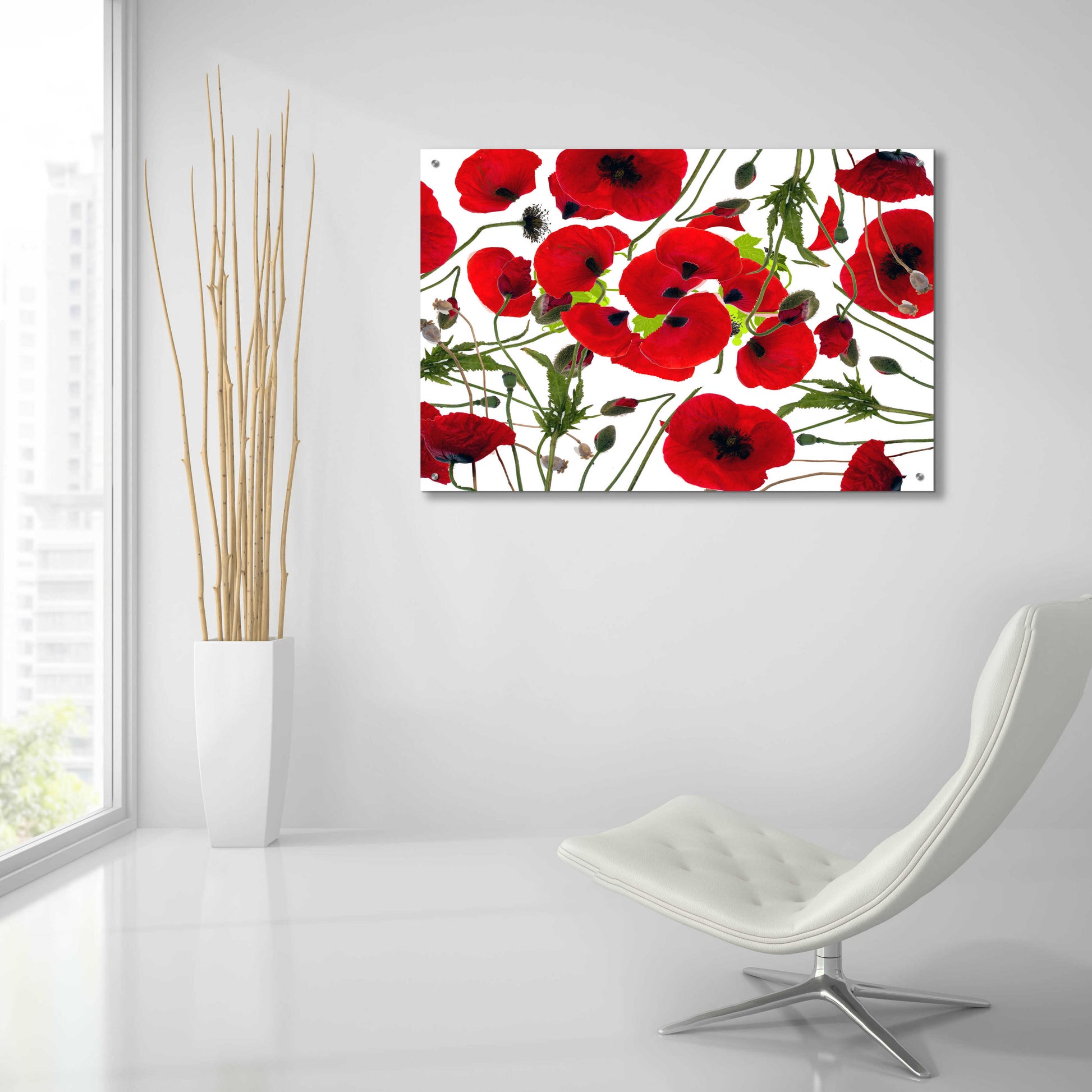 Epic Art 'Poppy Flower' by Ata Alishahi, Acrylic Glass Wall Art,36x24