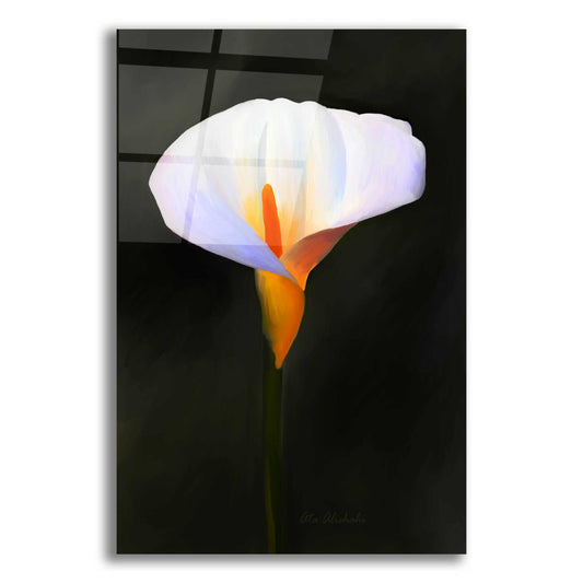 Epic Art 'Beautiful Flower' by Ata Alishahi, Acrylic Glass Wall Art