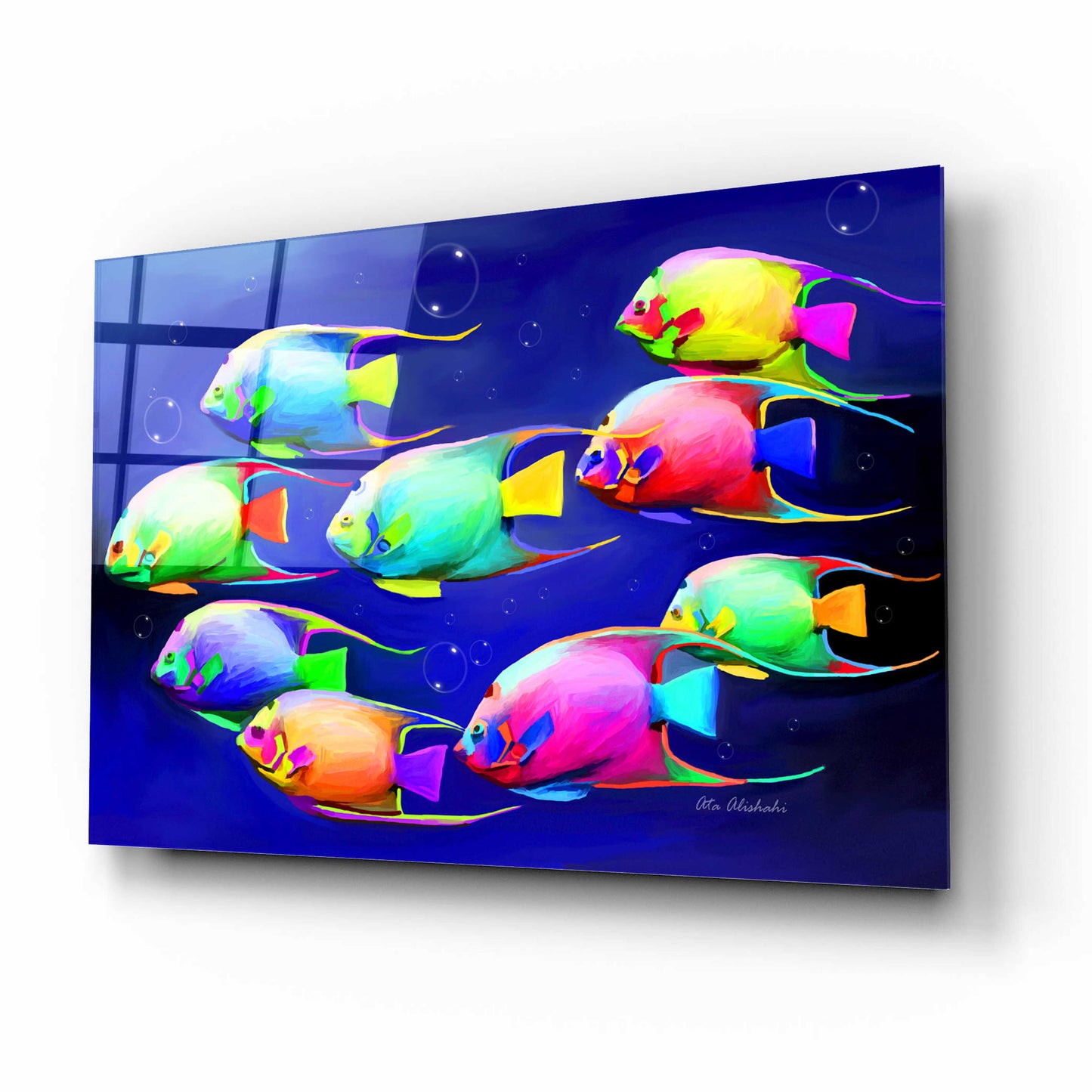 Epic Art 'Colorful Fishes 2' by Ata Alishahi, Acrylic Glass Wall Art,16x12