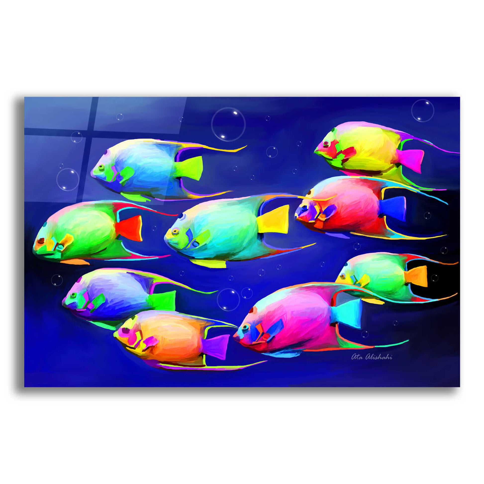 Epic Art 'Colorful Fishes 2' by Ata Alishahi, Acrylic Glass Wall Art,16x12