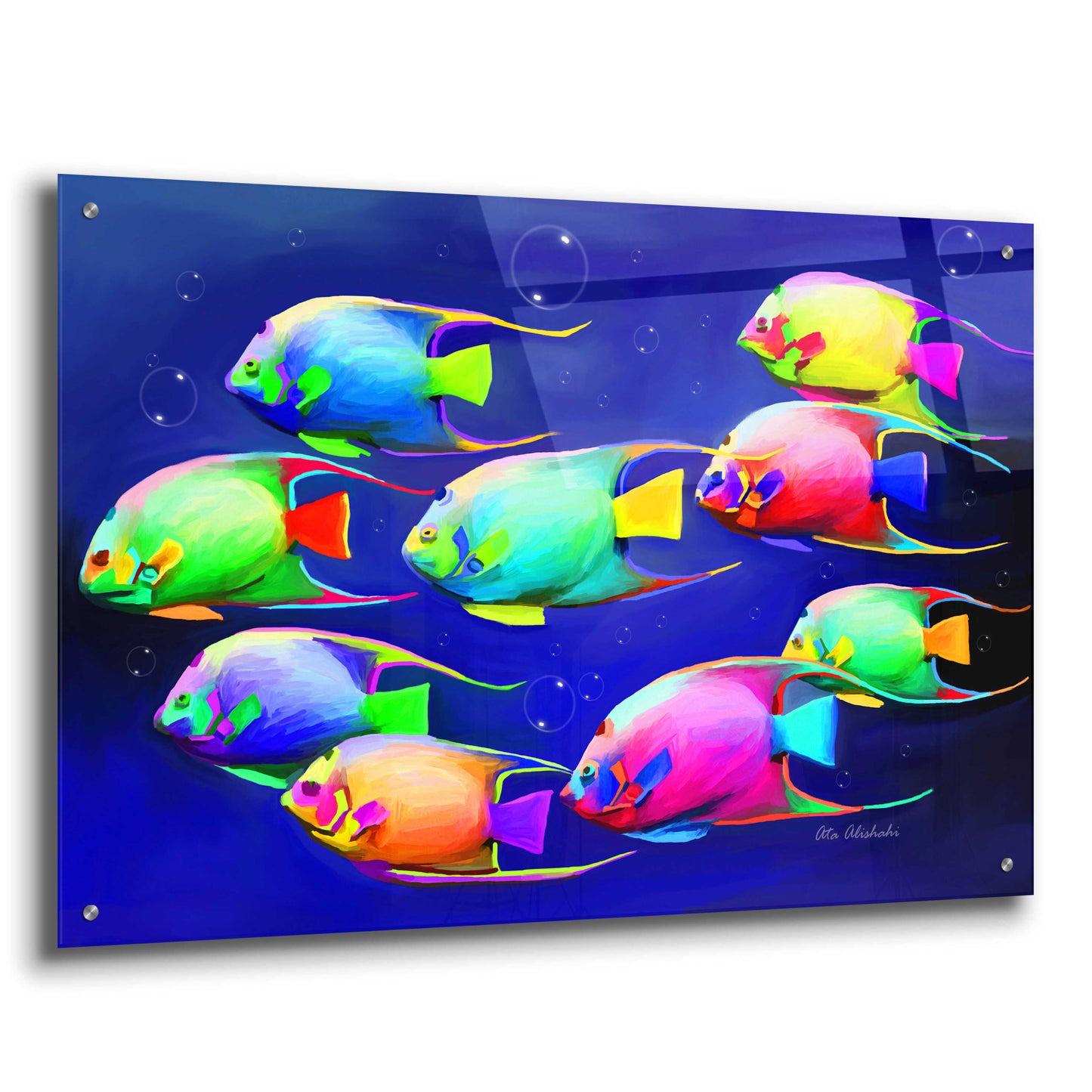 Epic Art 'Colorful Fishes 2' by Ata Alishahi, Acrylic Glass Wall Art,36x24